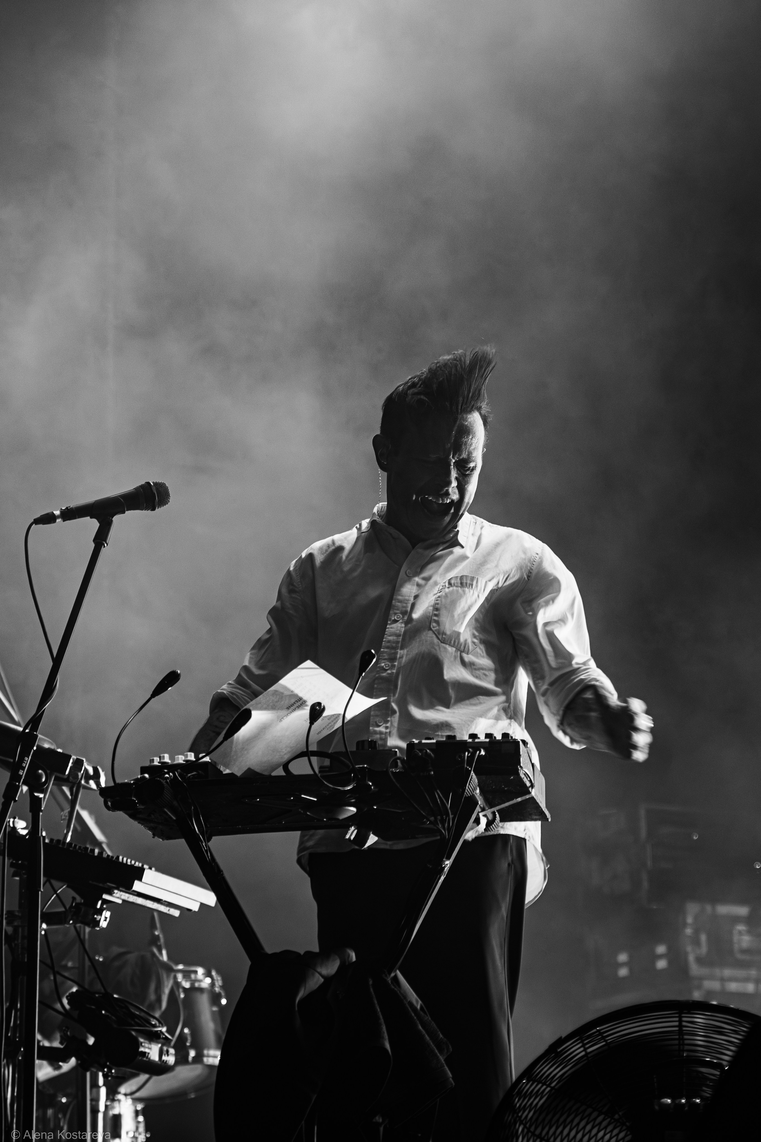 Dolphin. Алена Костарева. Фотограф в Ростове-на-Дону