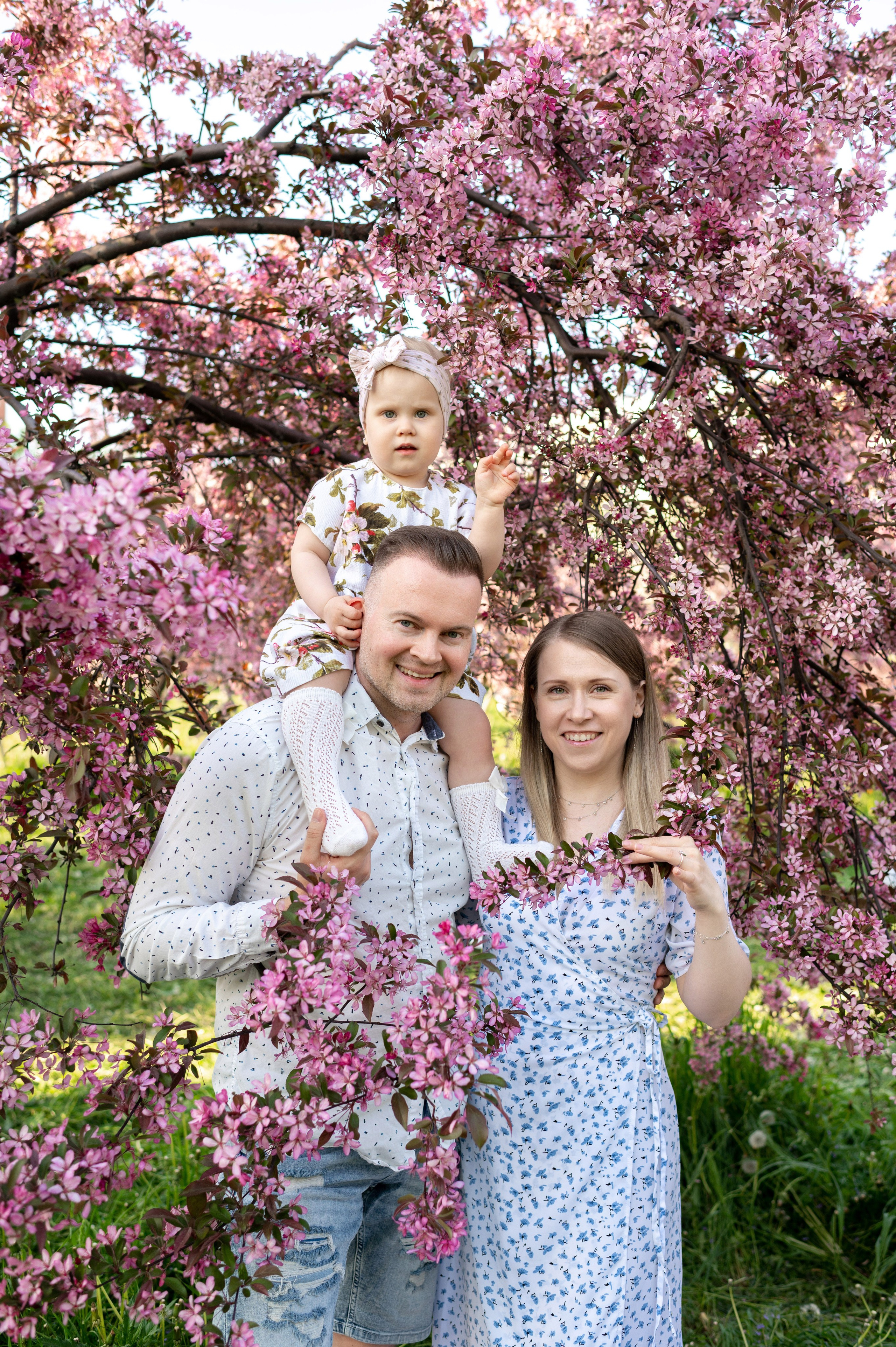 Ника и родители в розовых яблонях. Портретный, семейный и свадебный фотограф в Санкт-Петербурге и в Пушкине Ширяев Денис