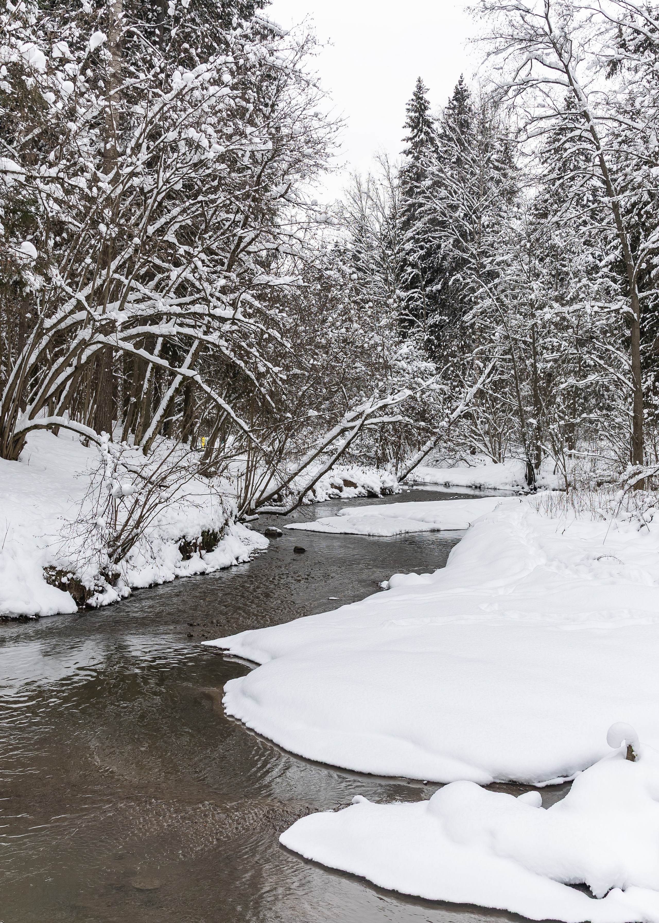 Природа. Фотограф Владимир Охрименко