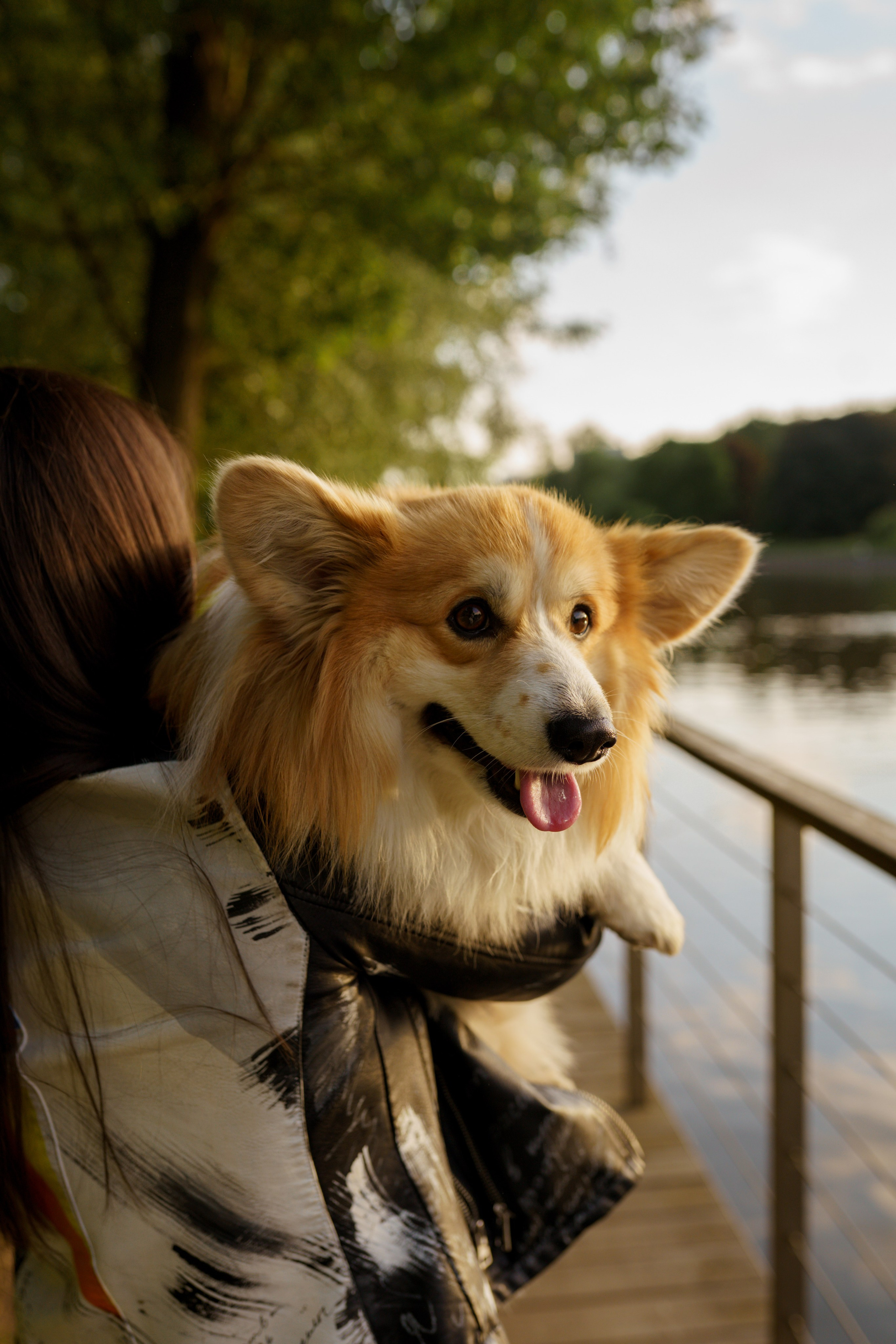 Катя, Арсений и Пух. Свадебный фотограф в Москве Анна Полушина