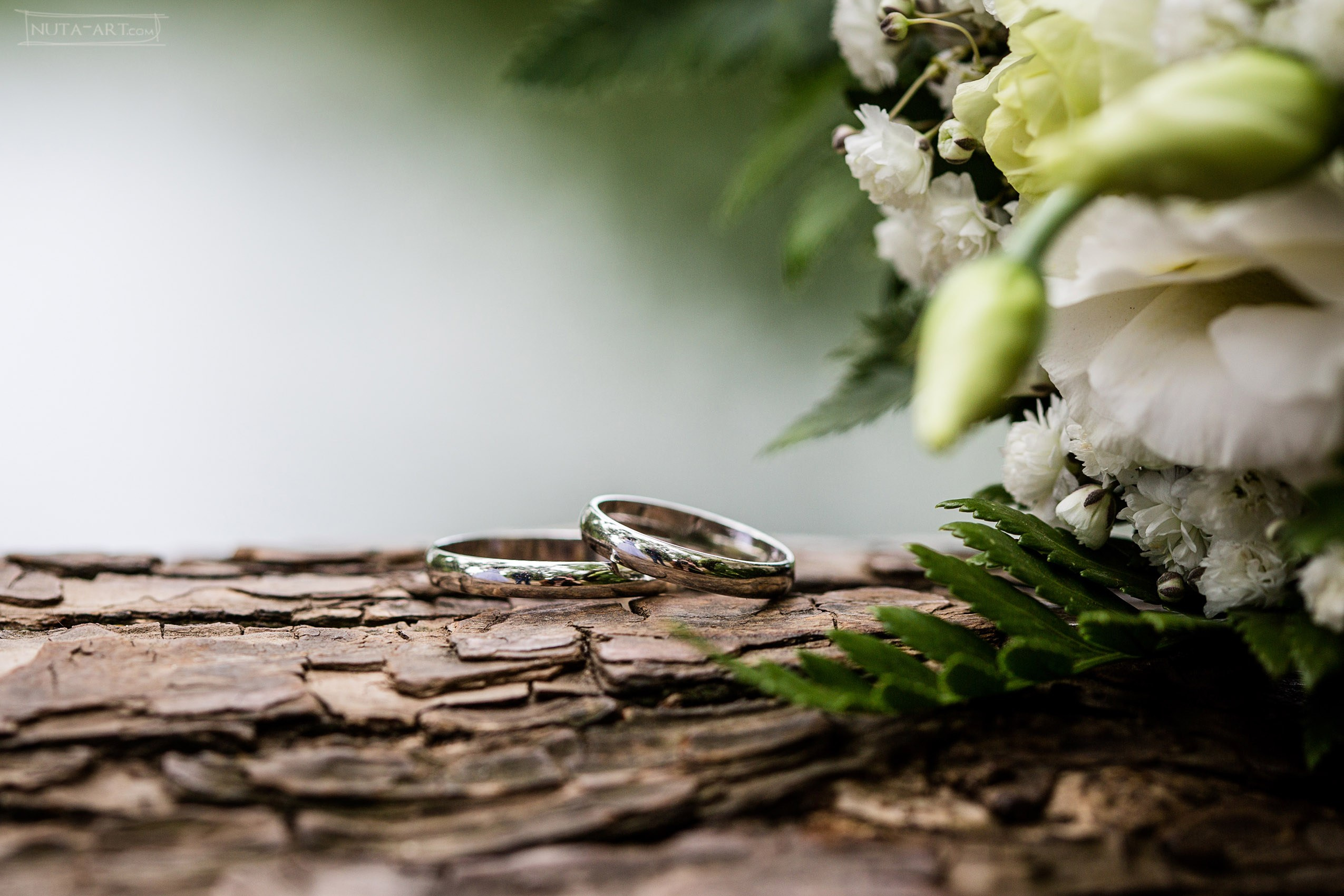 Прогулки. Nuta ART - photo-video creator