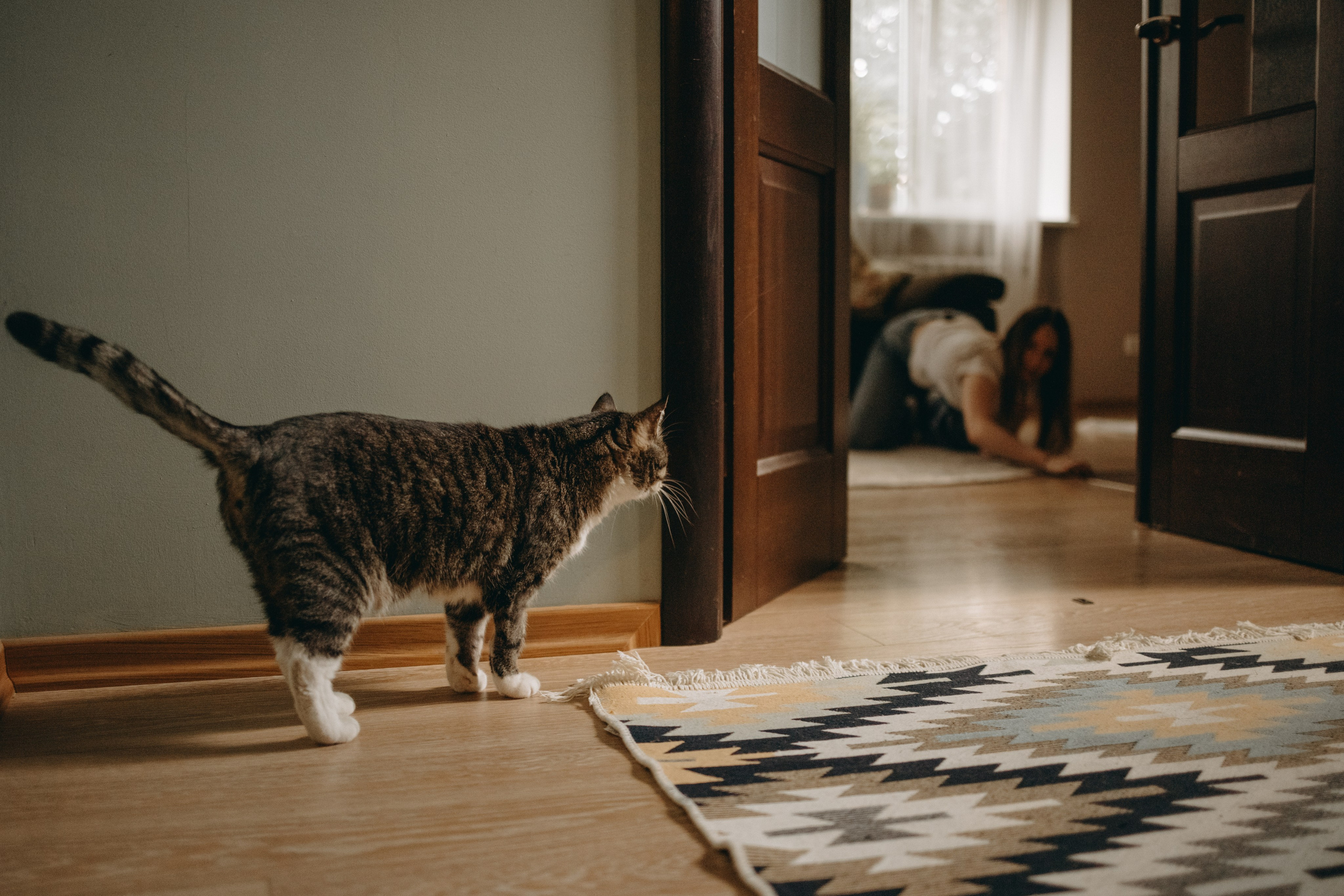 Софа и ее хвостики. Фотограф — Анималист | Санкт-Петербург