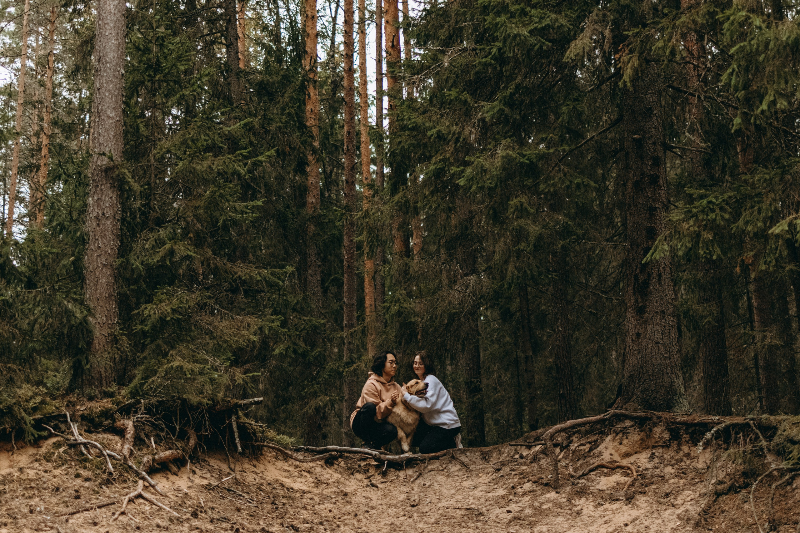 Фоси и его семьи. Фотограф — Анималист | Санкт-Петербург