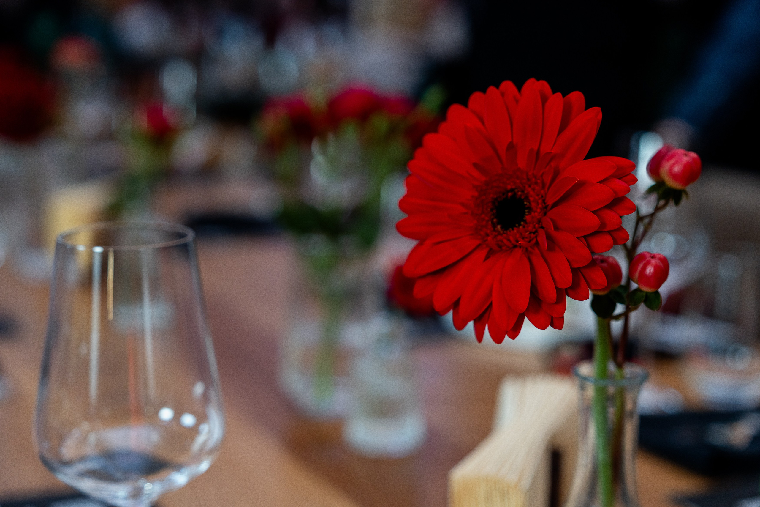 Альфа Босс. Sunnyman