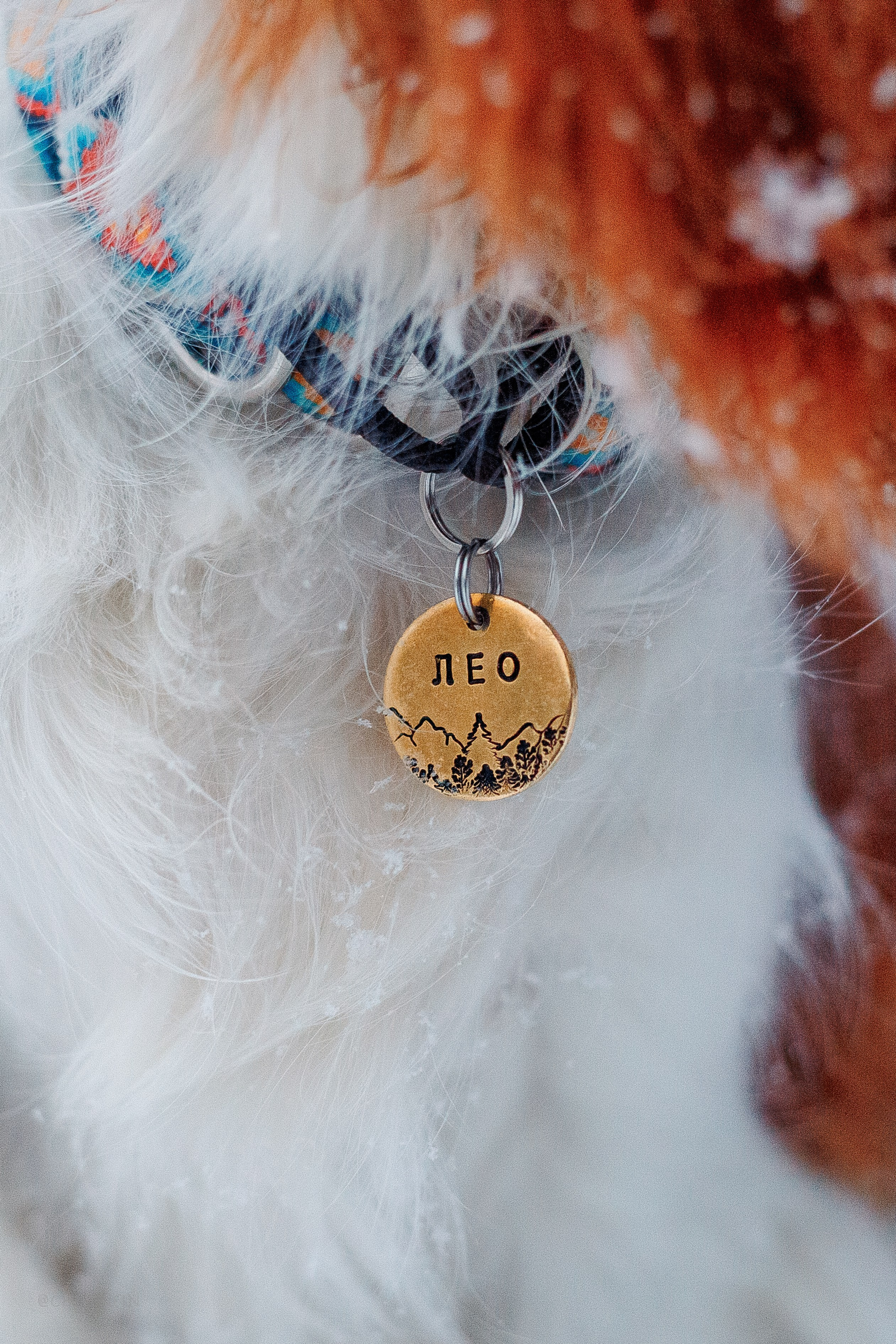 Внезапно апрельская зима. Фотограф-анималист Наталия Чистюхина в г. Сосновый Бор и ЛО