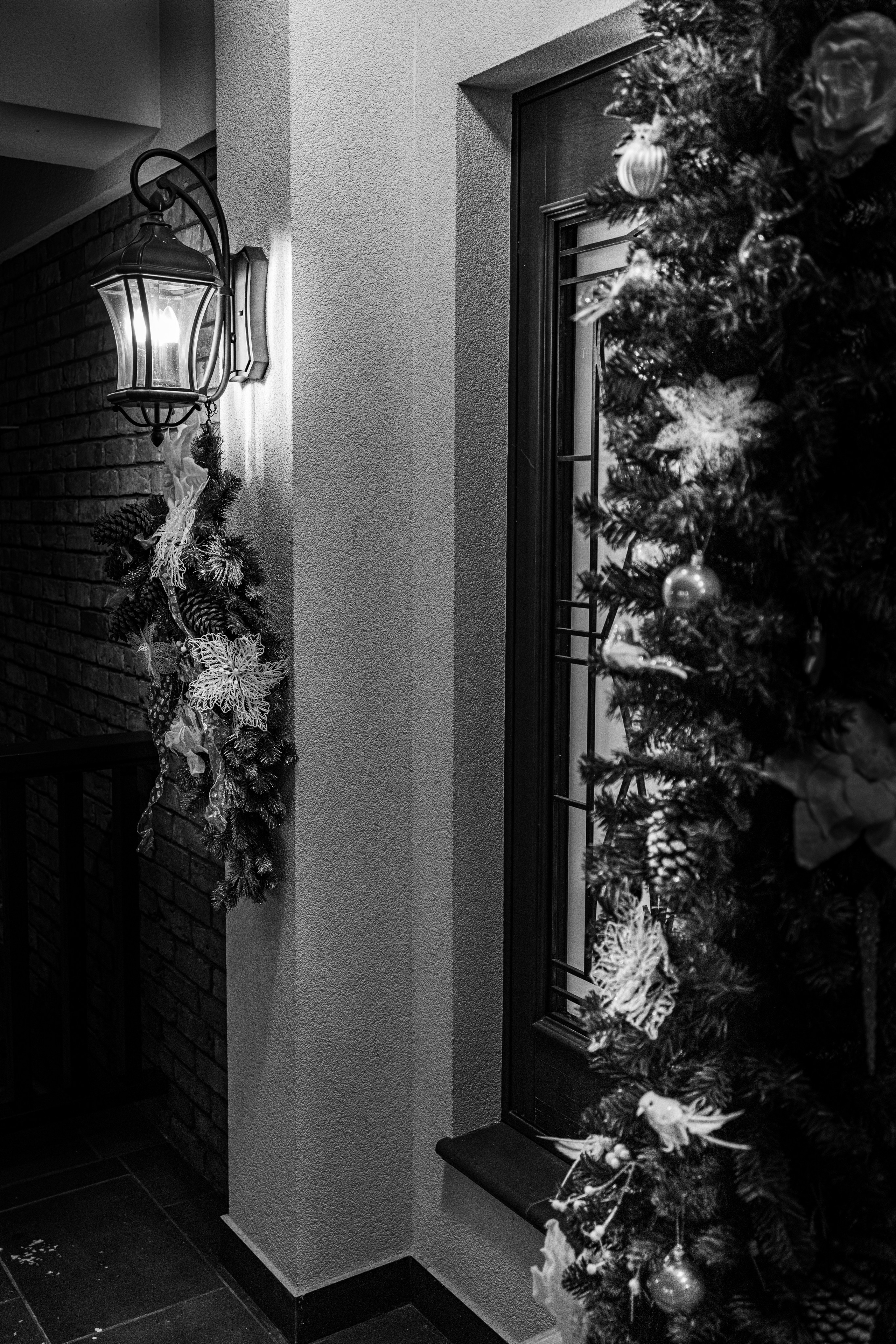 Природа 31 Декабря 2025 года. Клены. Фотографирую жизнь! Московский фотограф волонтер