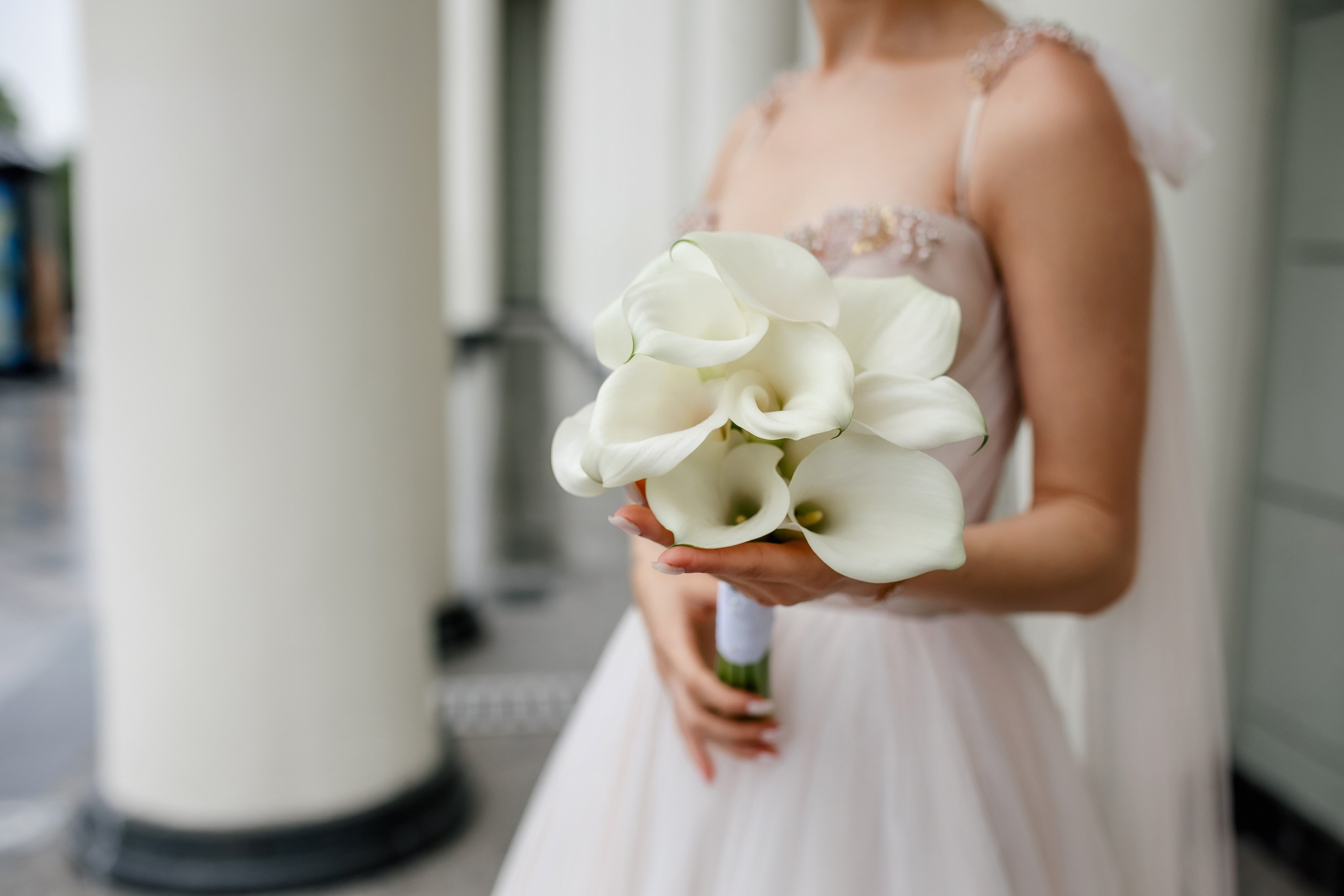 Степан и Ульяна. Утро. Загс. Прогулка. Дождь и солнце. Свадебный фотограф в Хабаровске