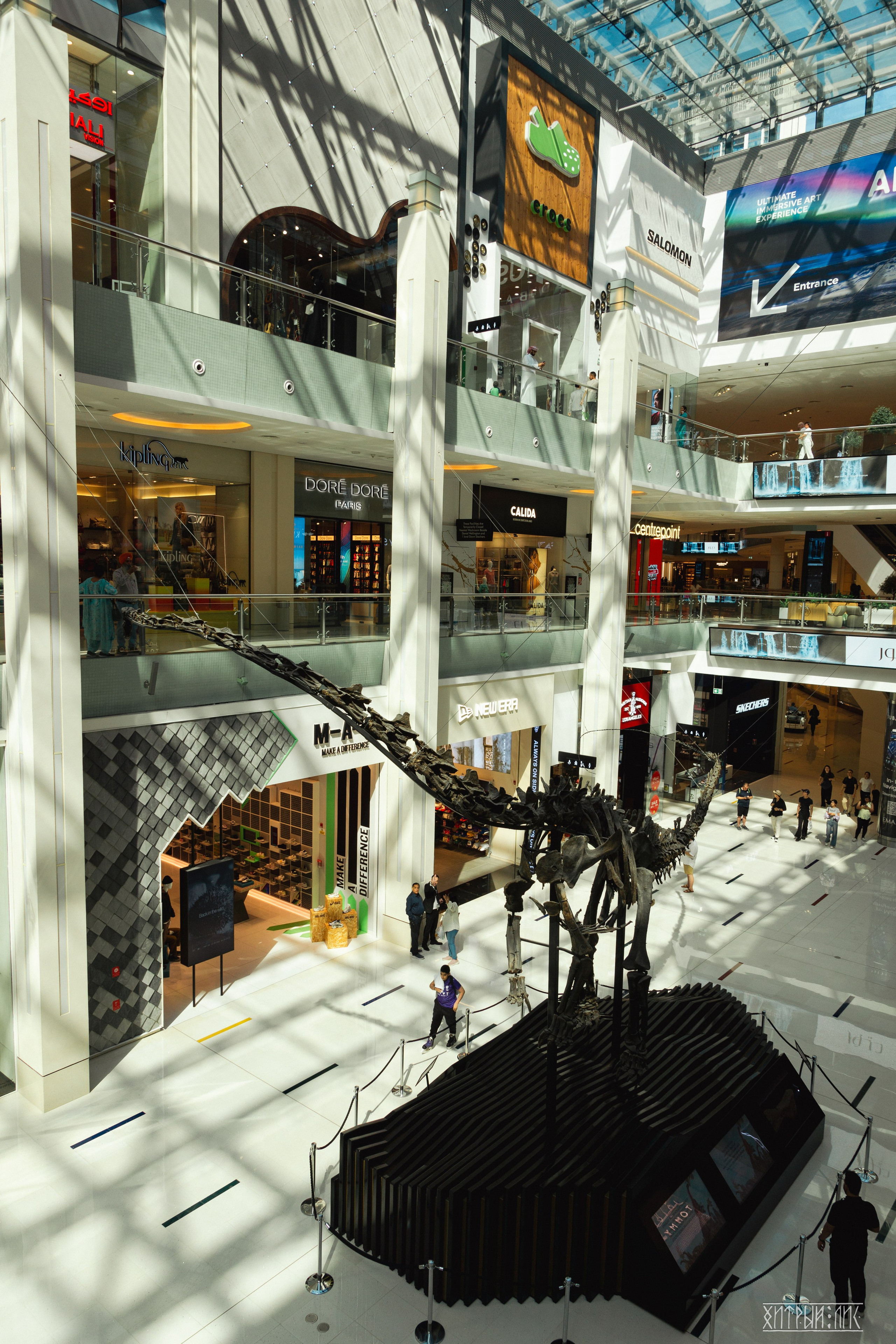 ОАЭ. Фотограф-путешественник Самойлов Максим «Sly Fox»