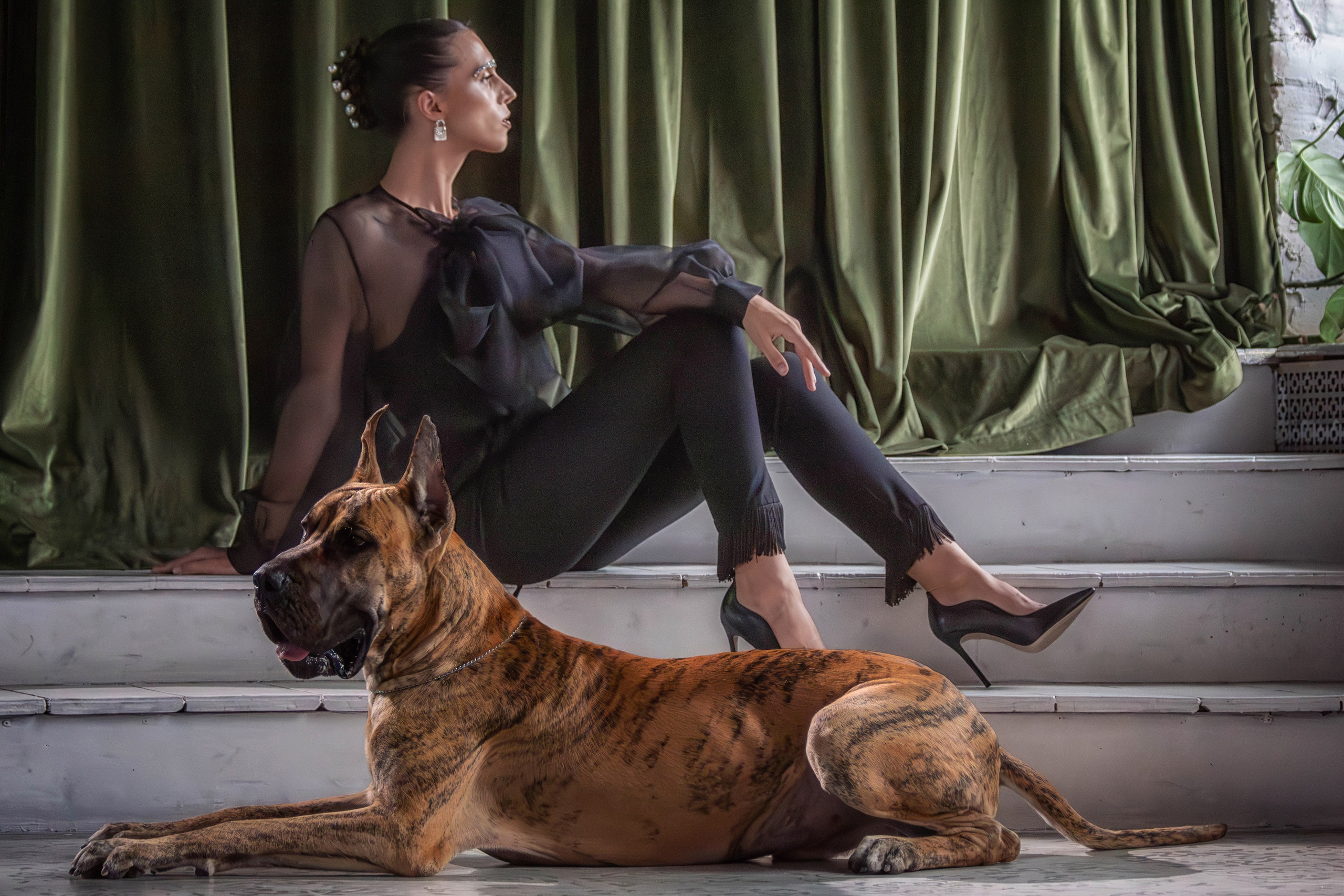 Анна и немецкий дог Honney Highlight. Фотограф анималист — Тула, Москва