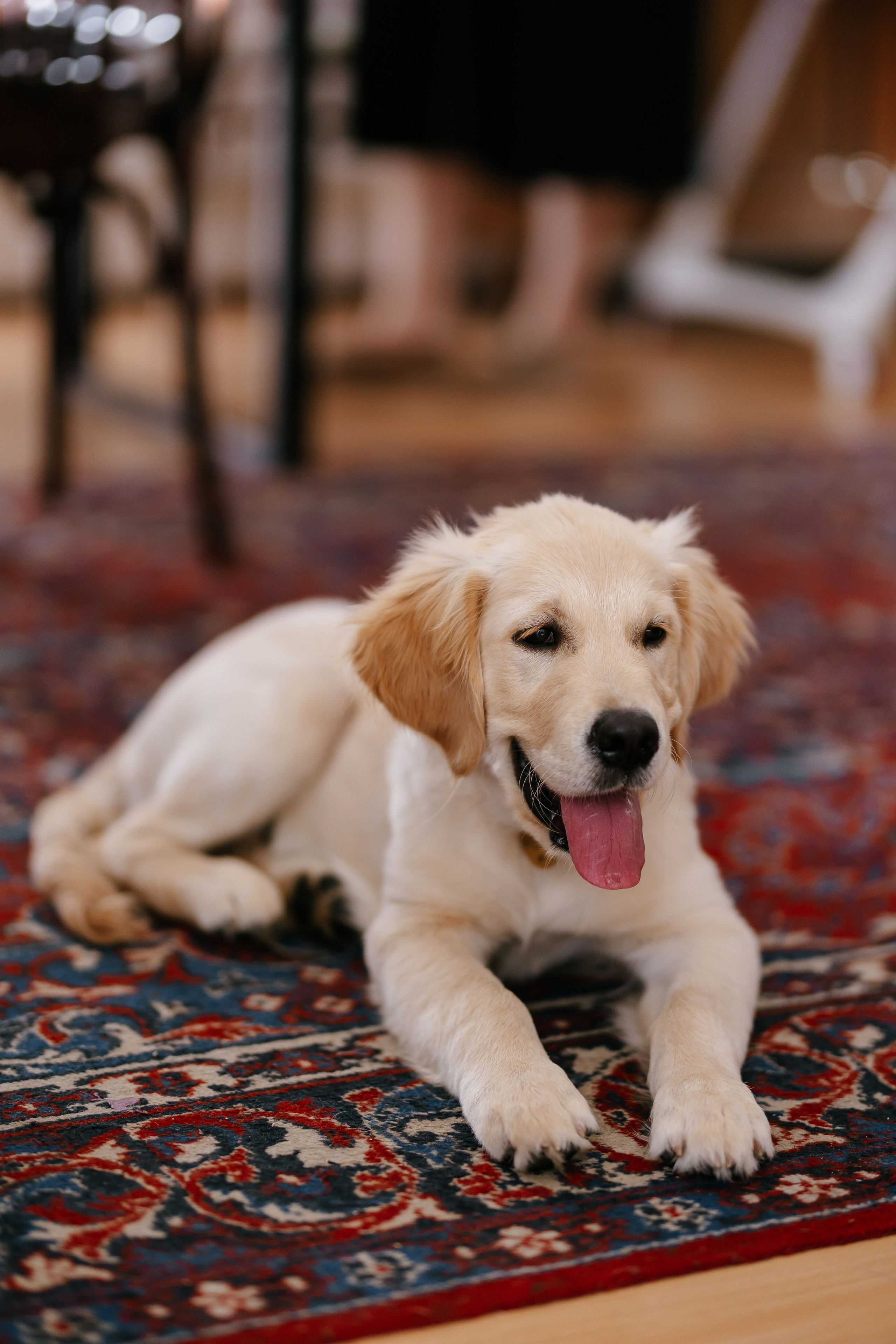 День рождения в Доме Липы. Анастасия Мелёхина Фотограф Москва, Свадебный фотограф Москва