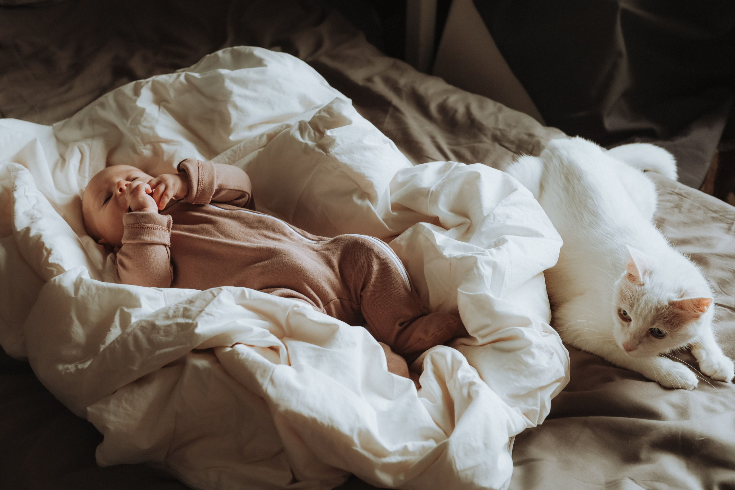 Живые семейные фотосессии в СПб. Портретный фотограф в Санкт-Петербурге Любовь Волошина