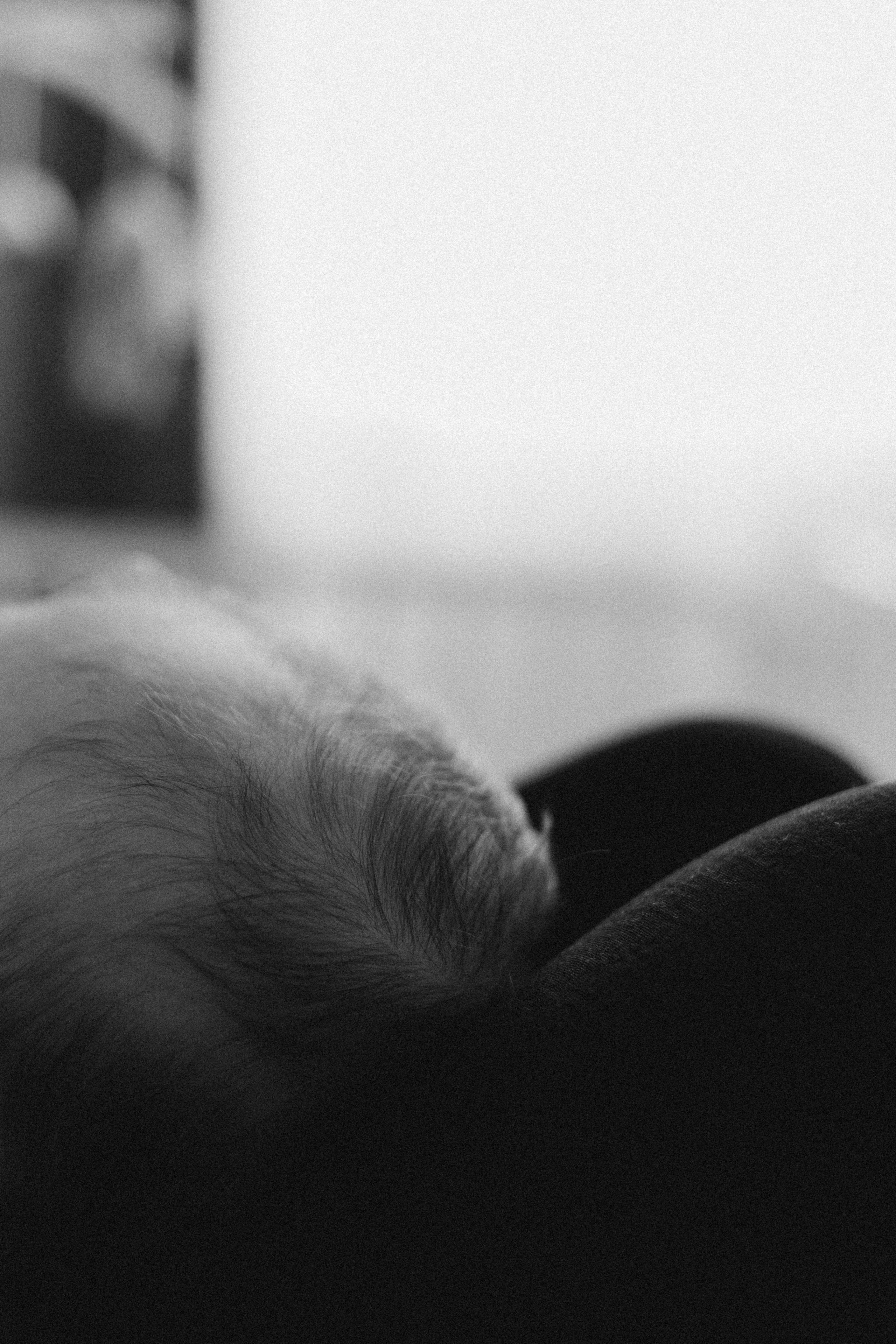 Малышка Полина. Анастасия Кацуба. Фотограф материнства и семейный фотограф. Валенсия