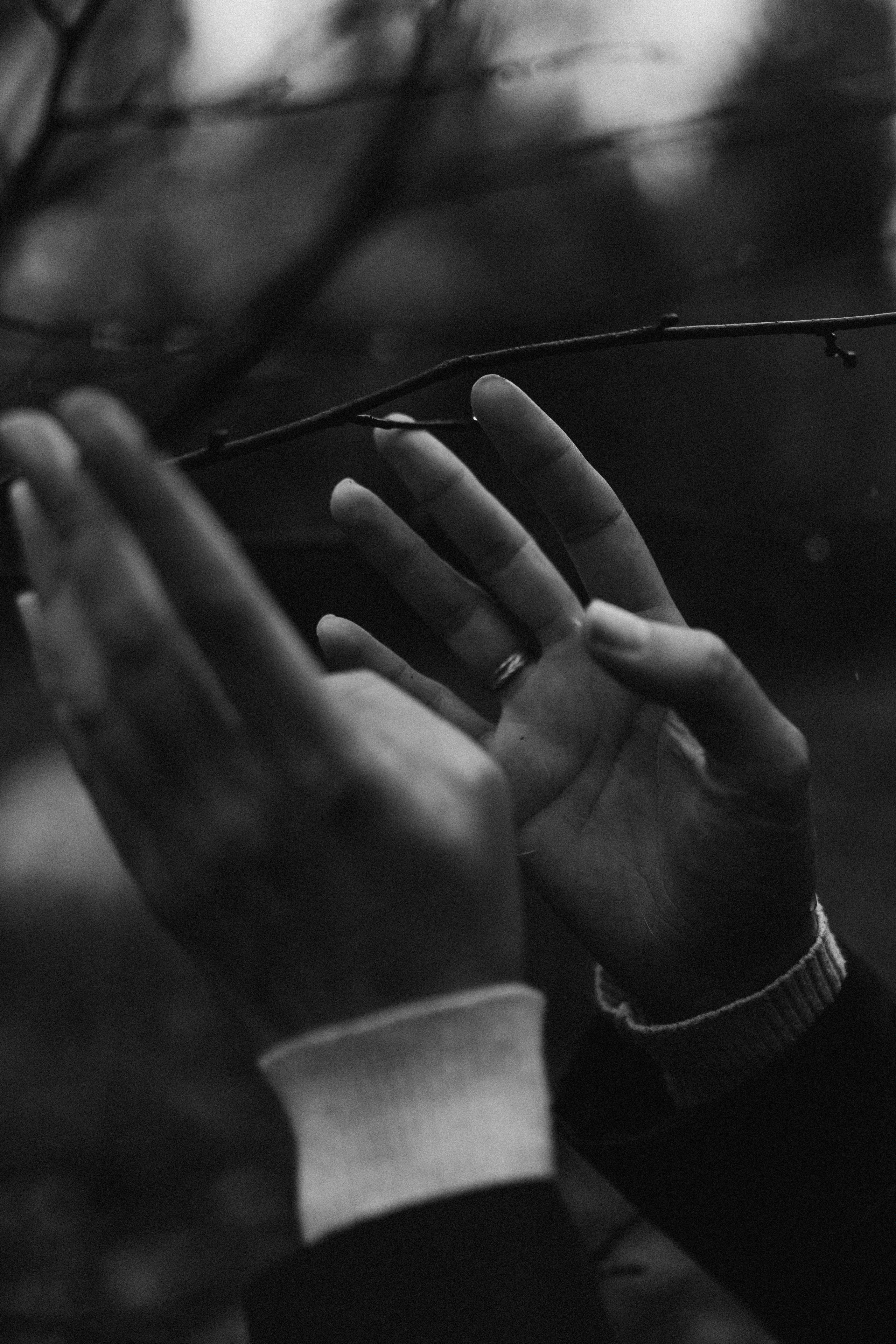 Анфиса & Нисма. Фотограф НОГИНСК, Москва, Анастасия Белая