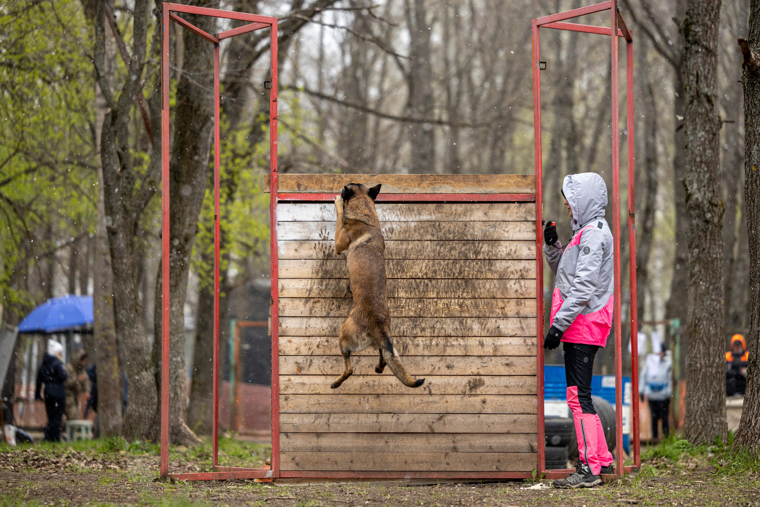 Квалификационные состязания по мондьорингу г. Вологда 11.05.24. Фотограф-анималист Анна Маринич