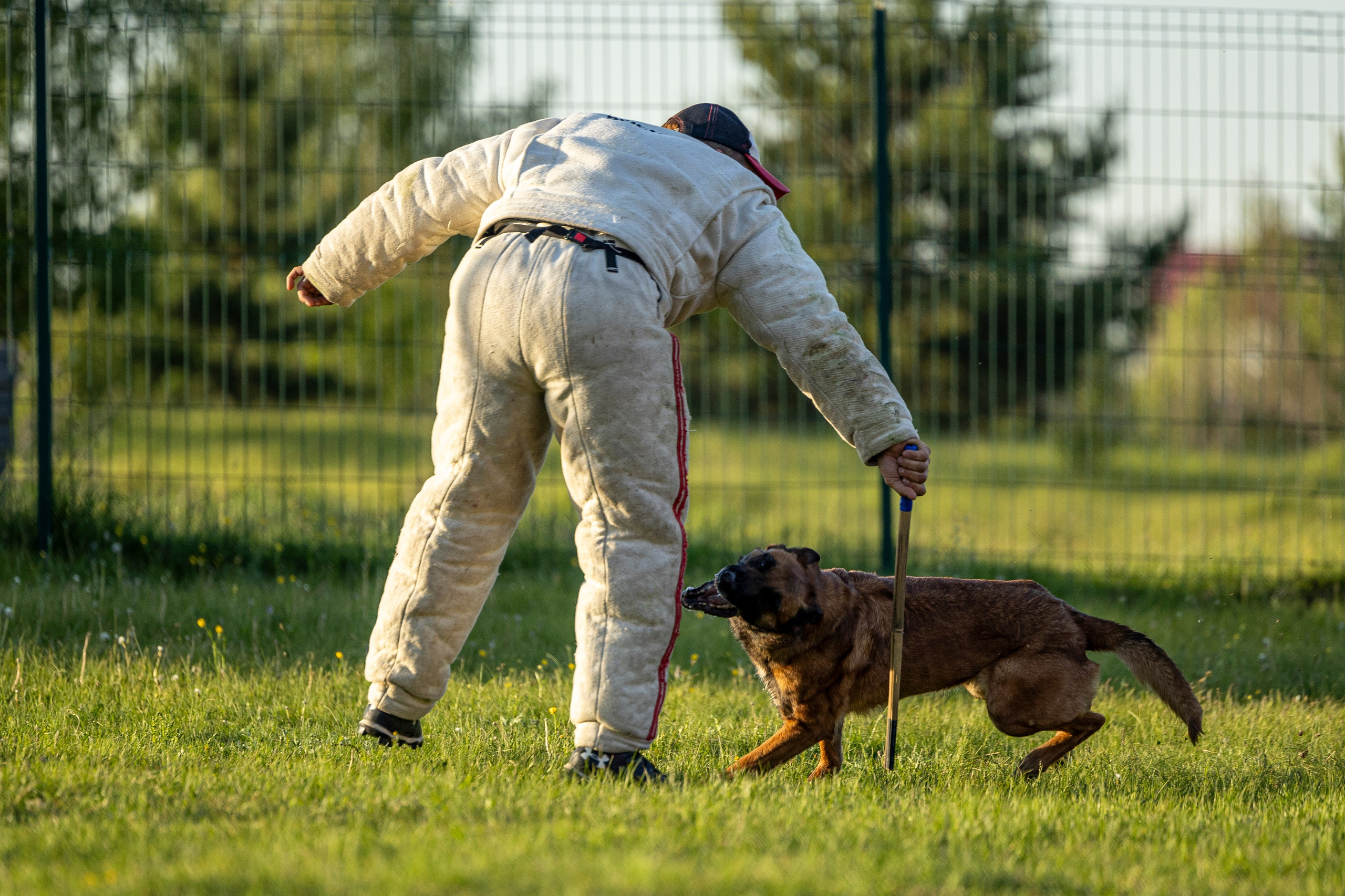 Испытания по мондьорингу в Нижнем Новгороде. Фотограф-анималист Анна Маринич