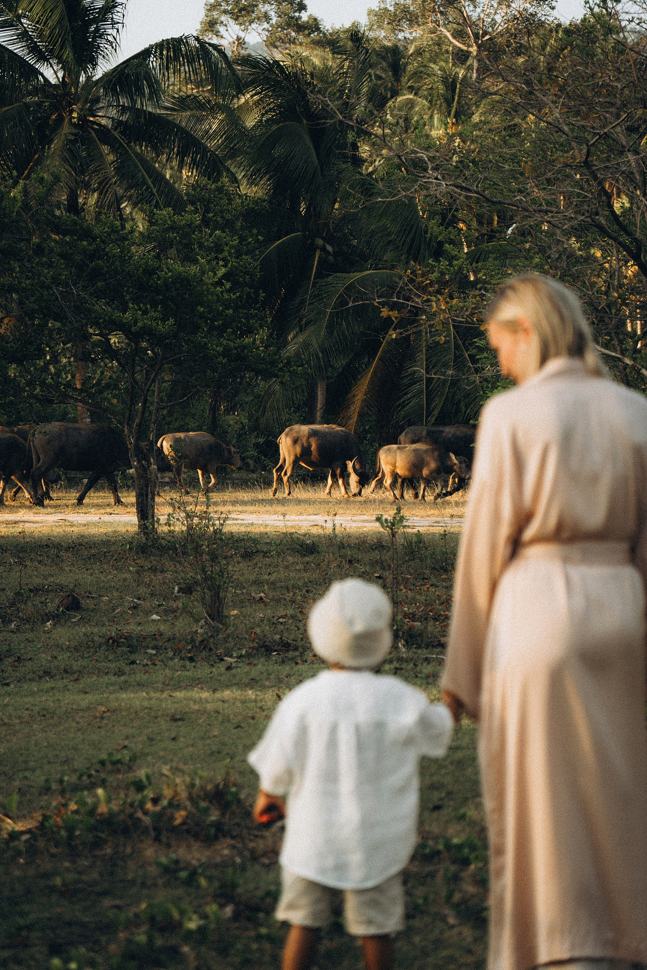 About life. Photographer in Koh Samui | Olga Krasikova