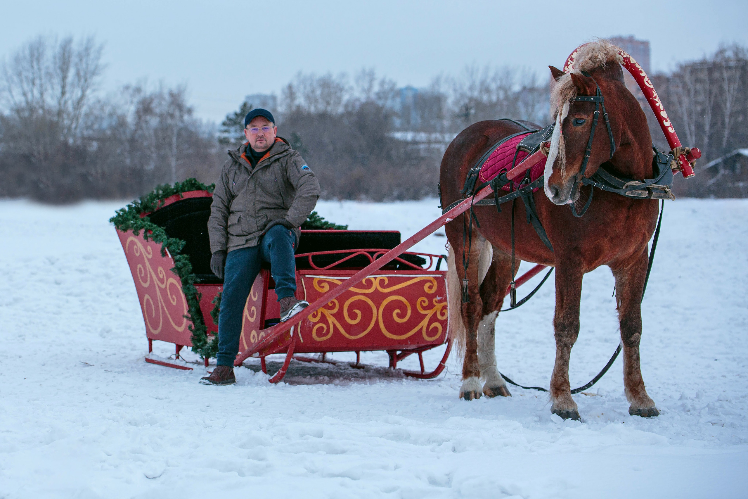 Карета 24. Конный фотограф в Красноярске — Любовь Похабова