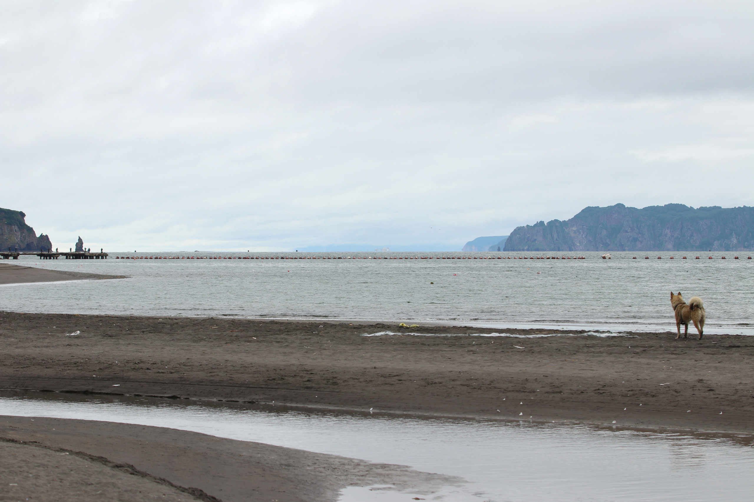 Камчатка и о. Парамушир. Июль 2024. Путешественник-фотограф из Санкт-Петербурга Татьяна Свистулина