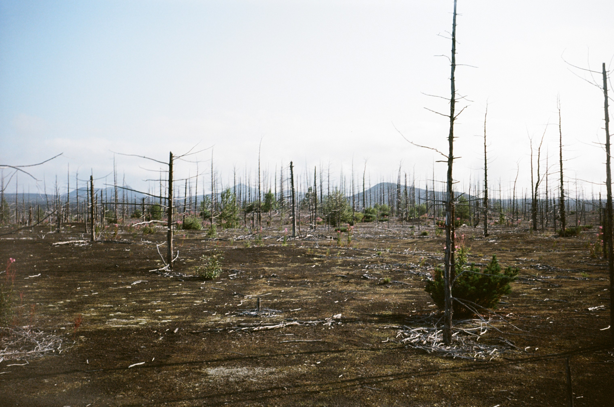 Камчатка на пленку. Travel-фотограф Ирина Милинцова