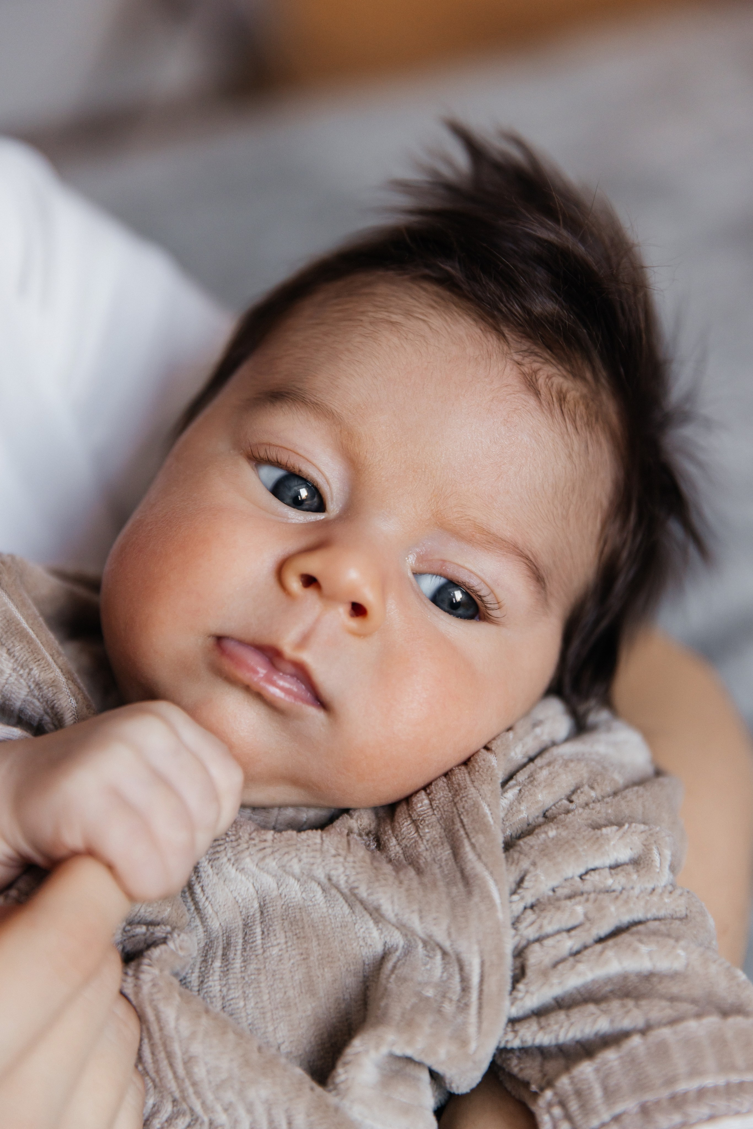 Илья|Ольга|Миша. Фотограф Москва Шептаев Артём