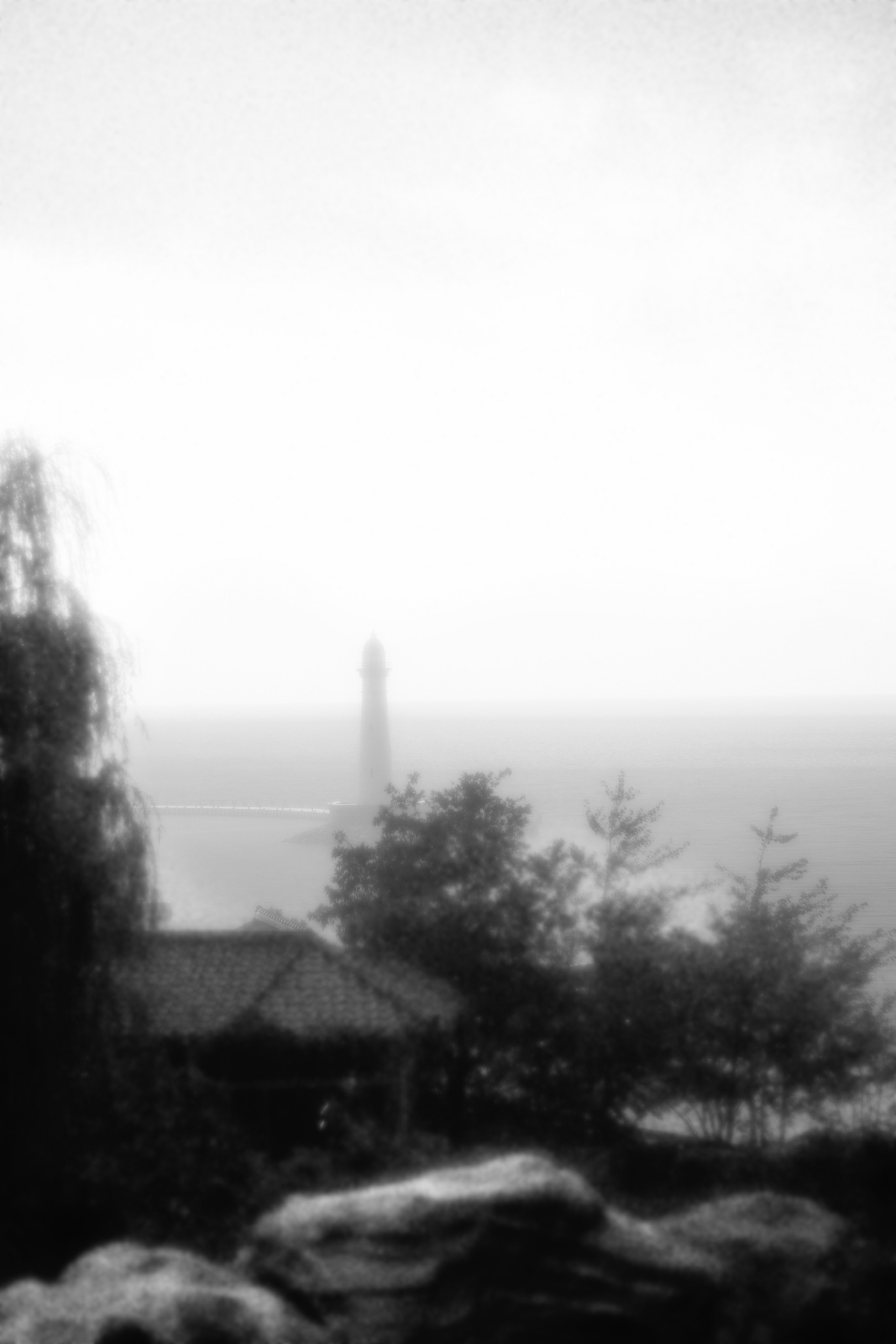 Raining in Japanese Garden. Fashion Photographer Oxana Chernomorets