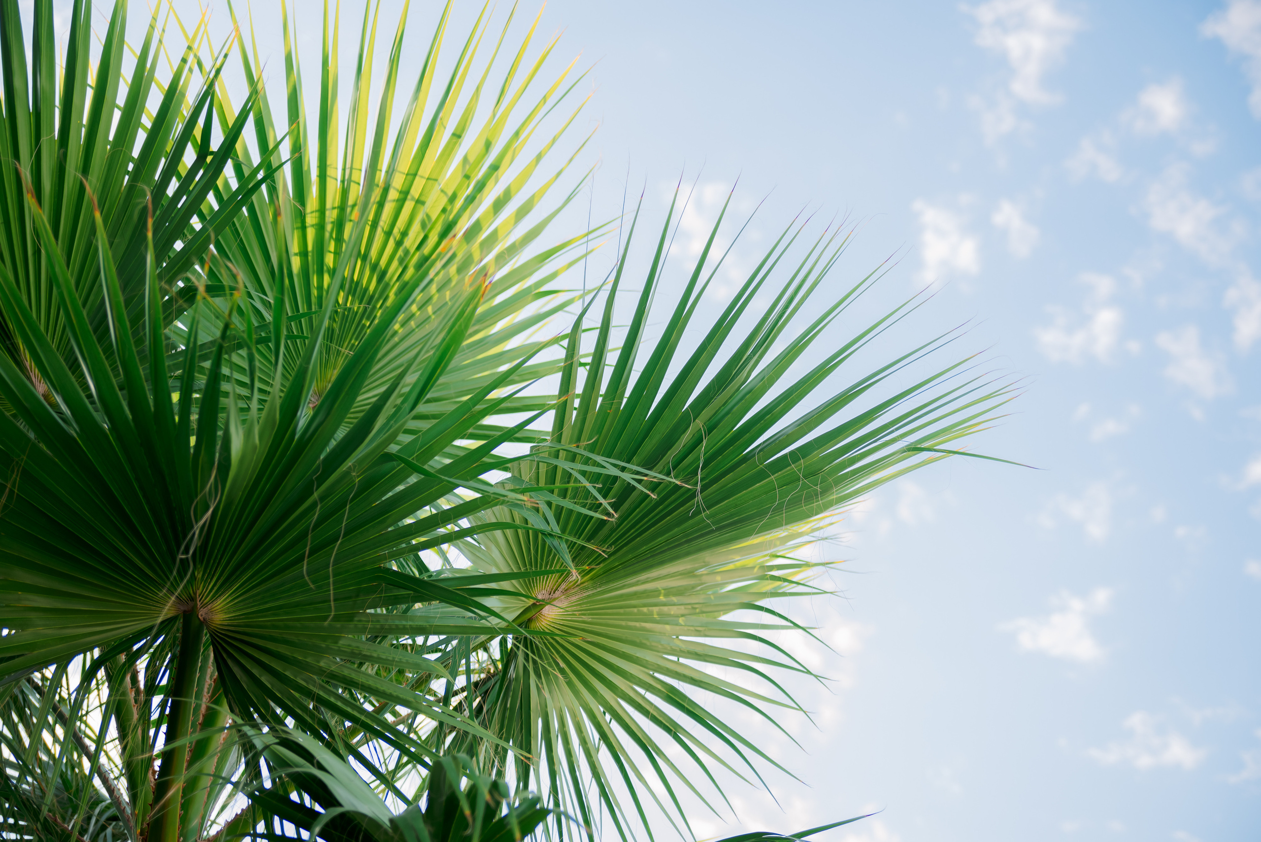 Контент. Семейный и женский фотограф Лоо Краснодар Сочи Энем Татьяна Трибурт