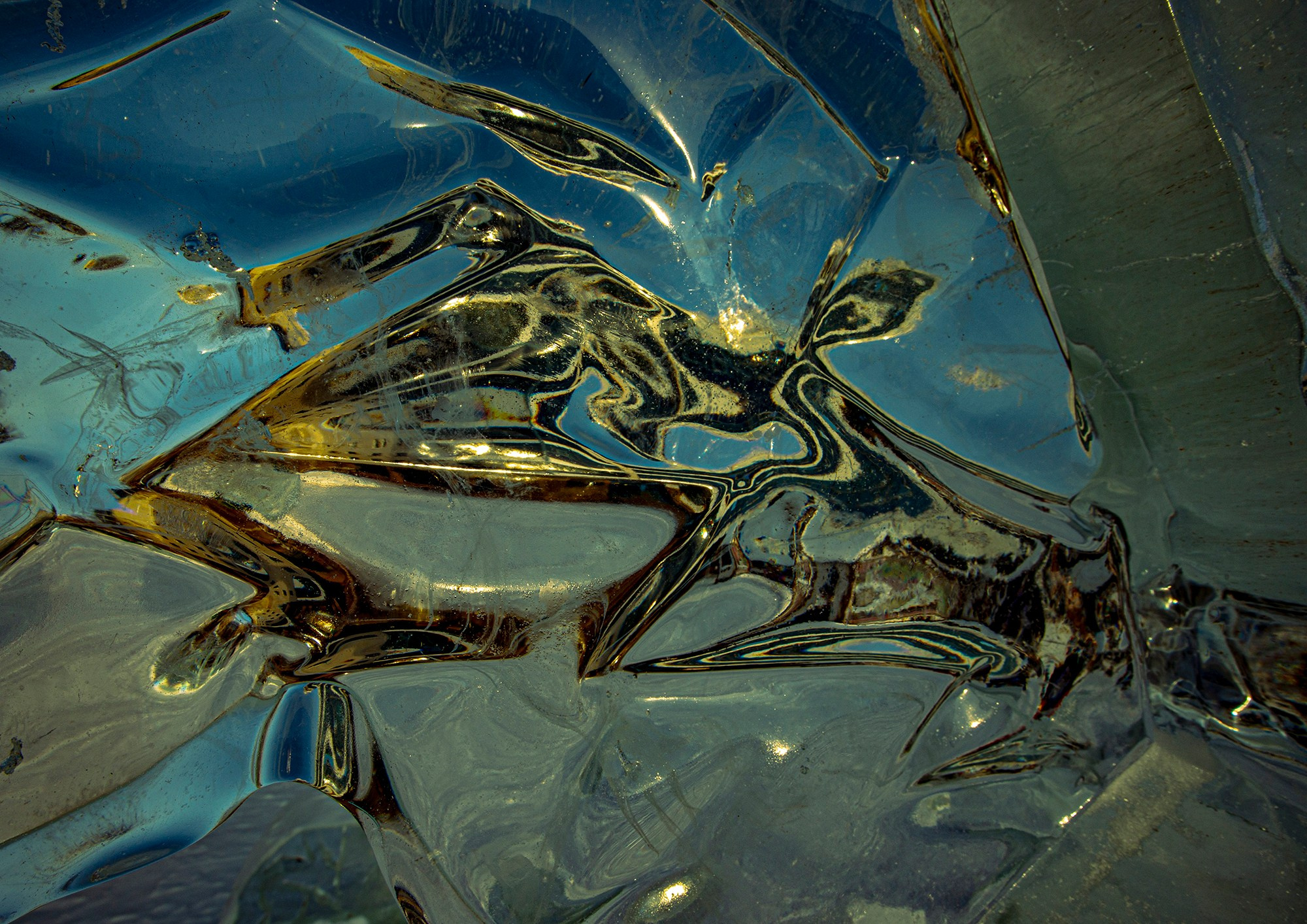 «Мы здесь». Фотограф Переверзева Наталья / Ханты-Мансийск