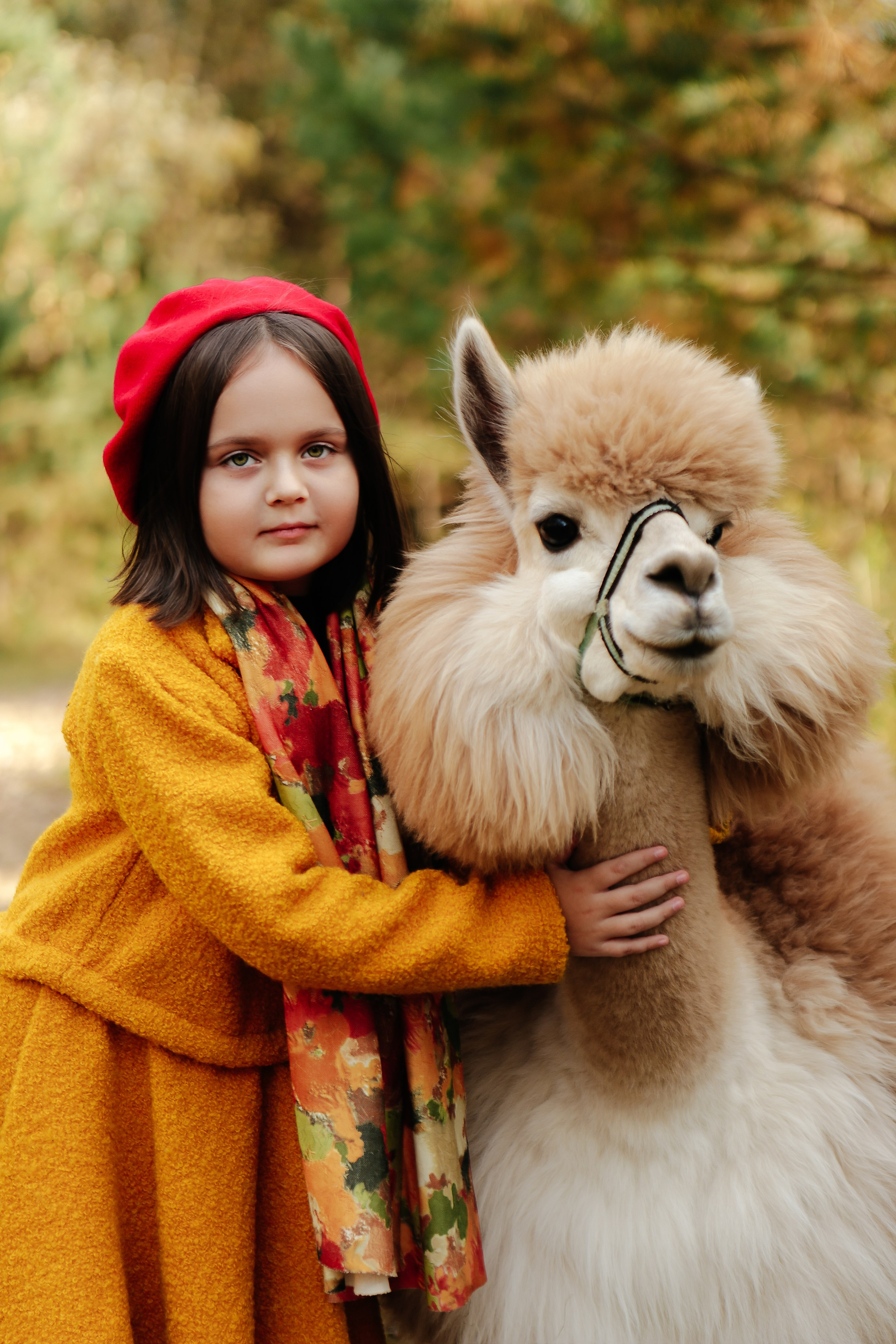 Альпаки. Семейный и детский фотограф в Москве Александра Мак