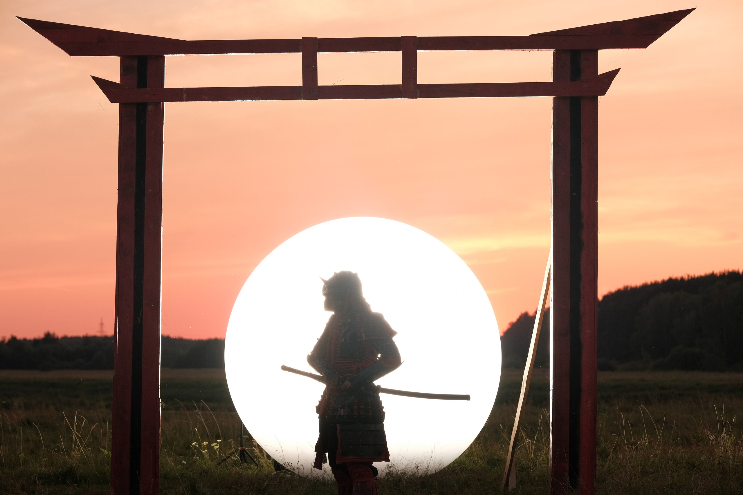 Самурай. Лиза Рязанцева