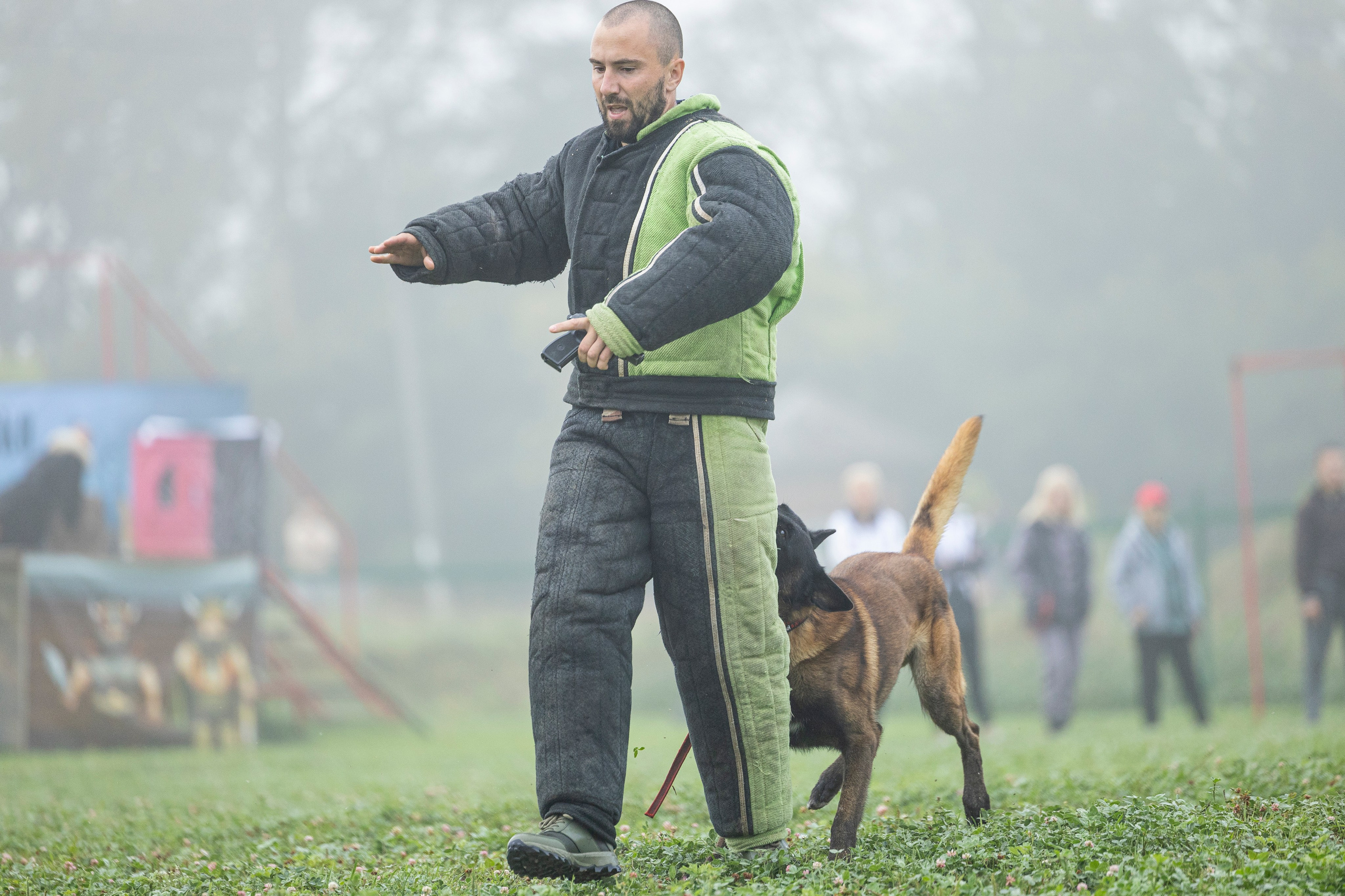 Соревнования по Мондьорингу г. Вологда 10-11.08.2024. Фотограф-анималист Анна Маринич