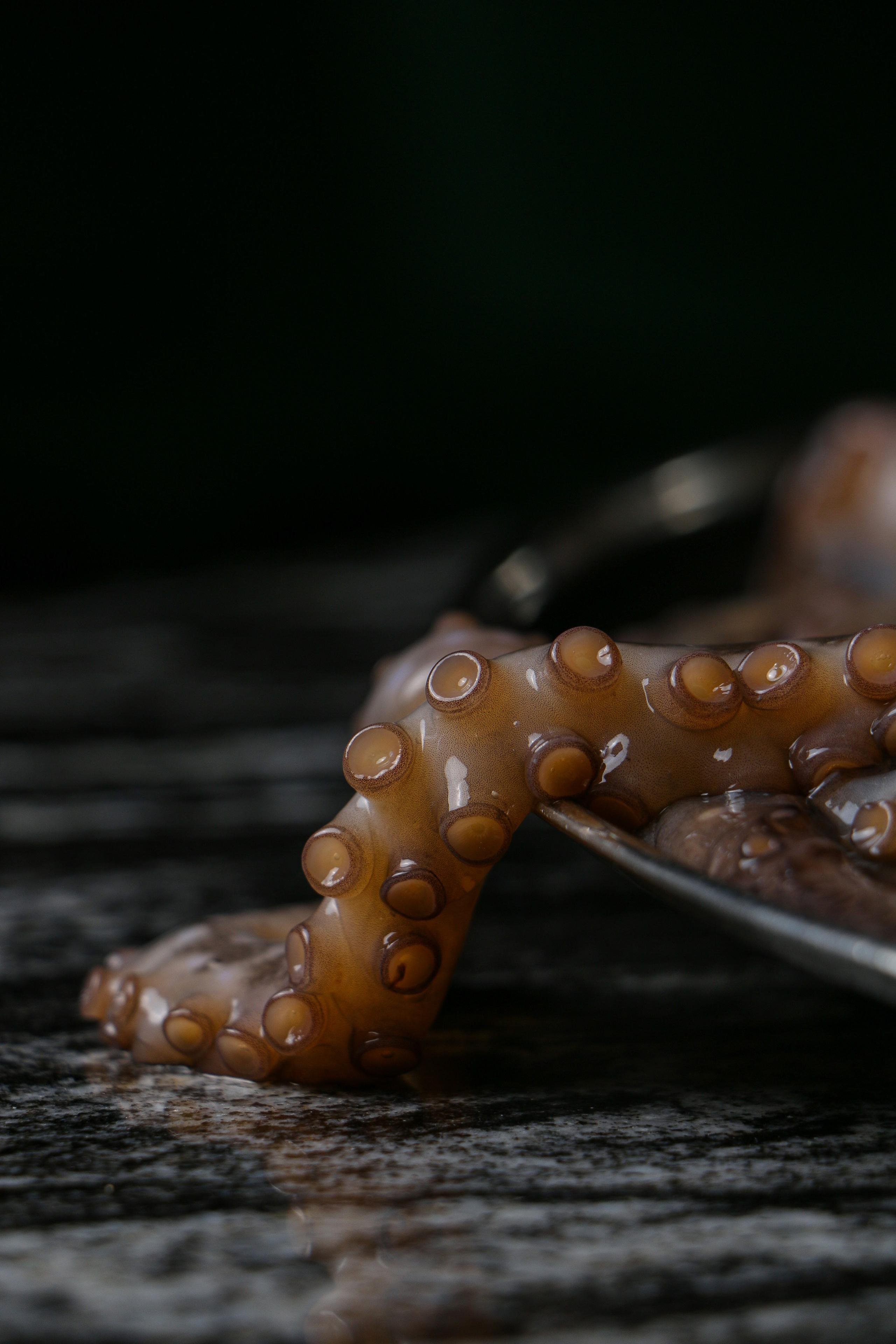 Dolce vita. Контент-фотограф Калининград АНАСТАСИЯ ТКАЧЕВА