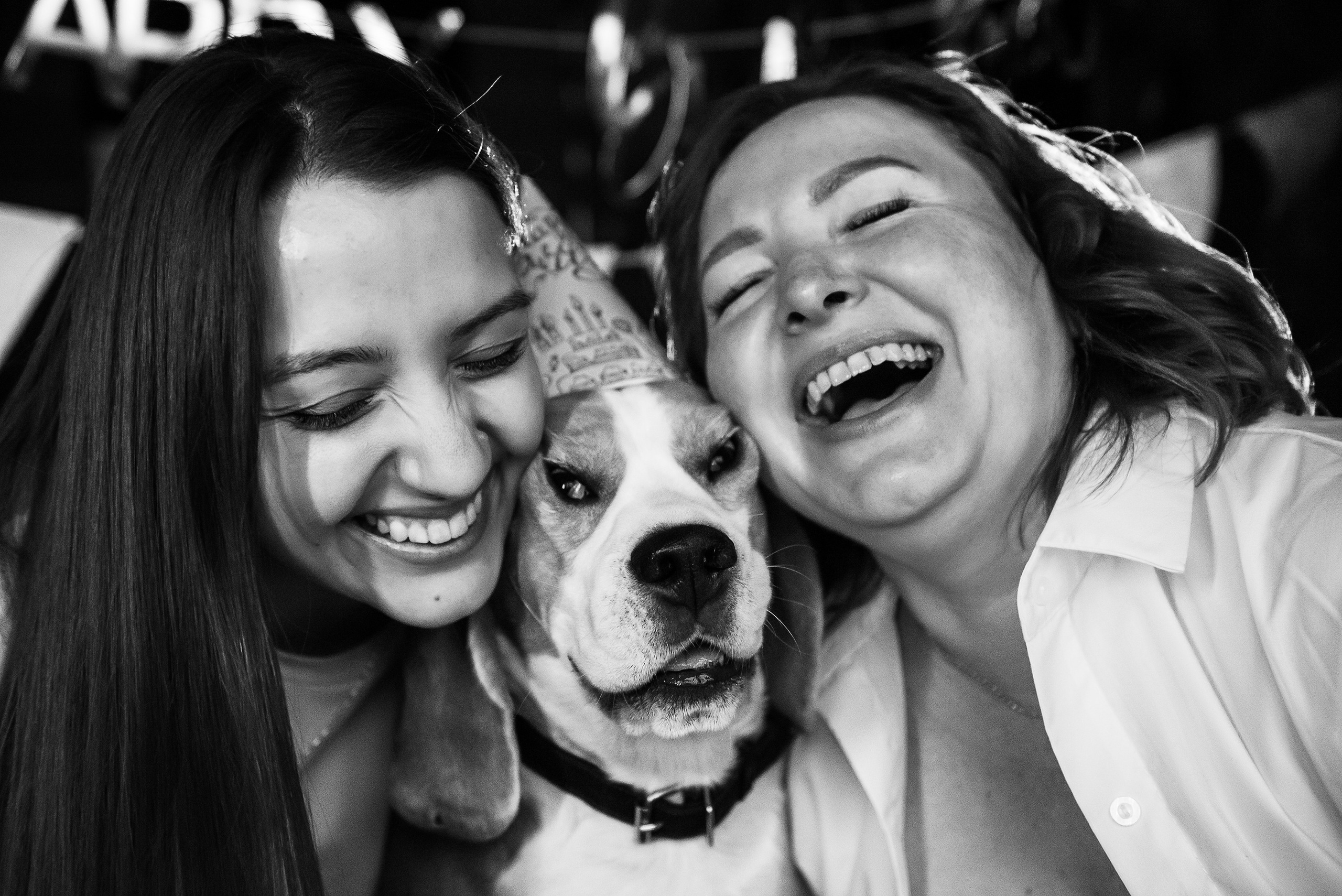 День рождение Дарси. Семейный Фотограф в Москве Ирина Хохлова