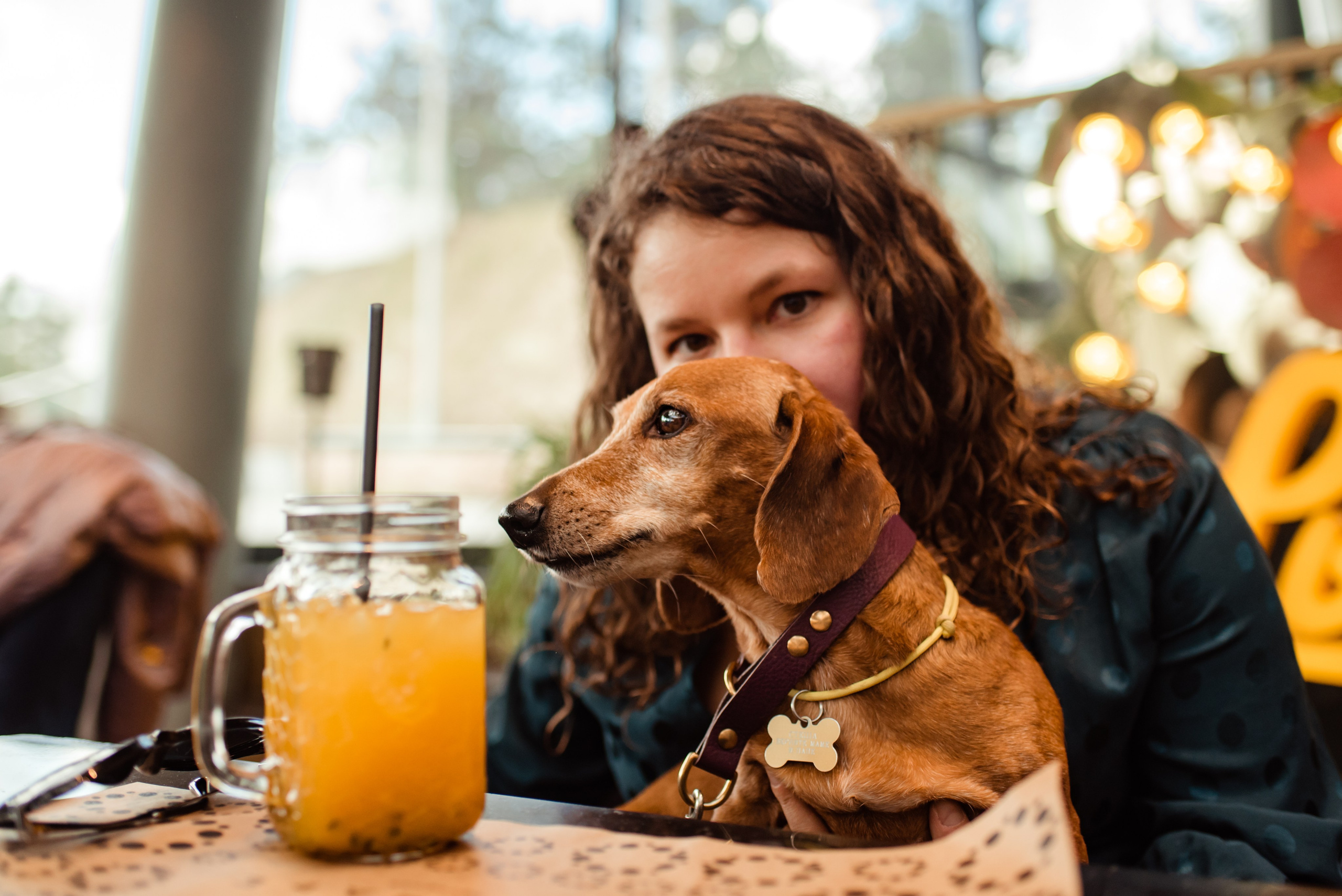 Таксы на Красной площади. Семейный Фотограф в Москве Ирина Хохлова