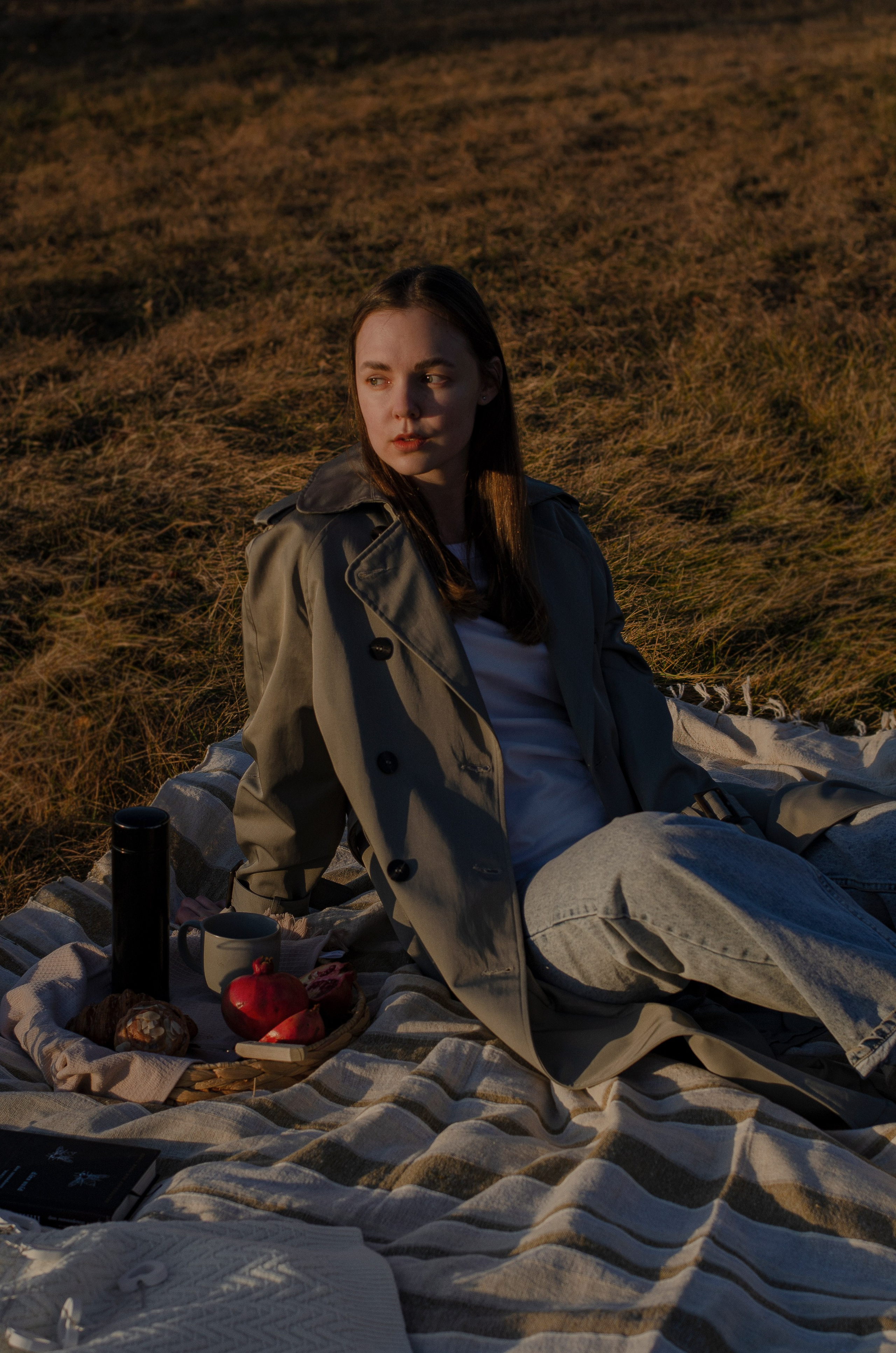 Пикник. Портфолио