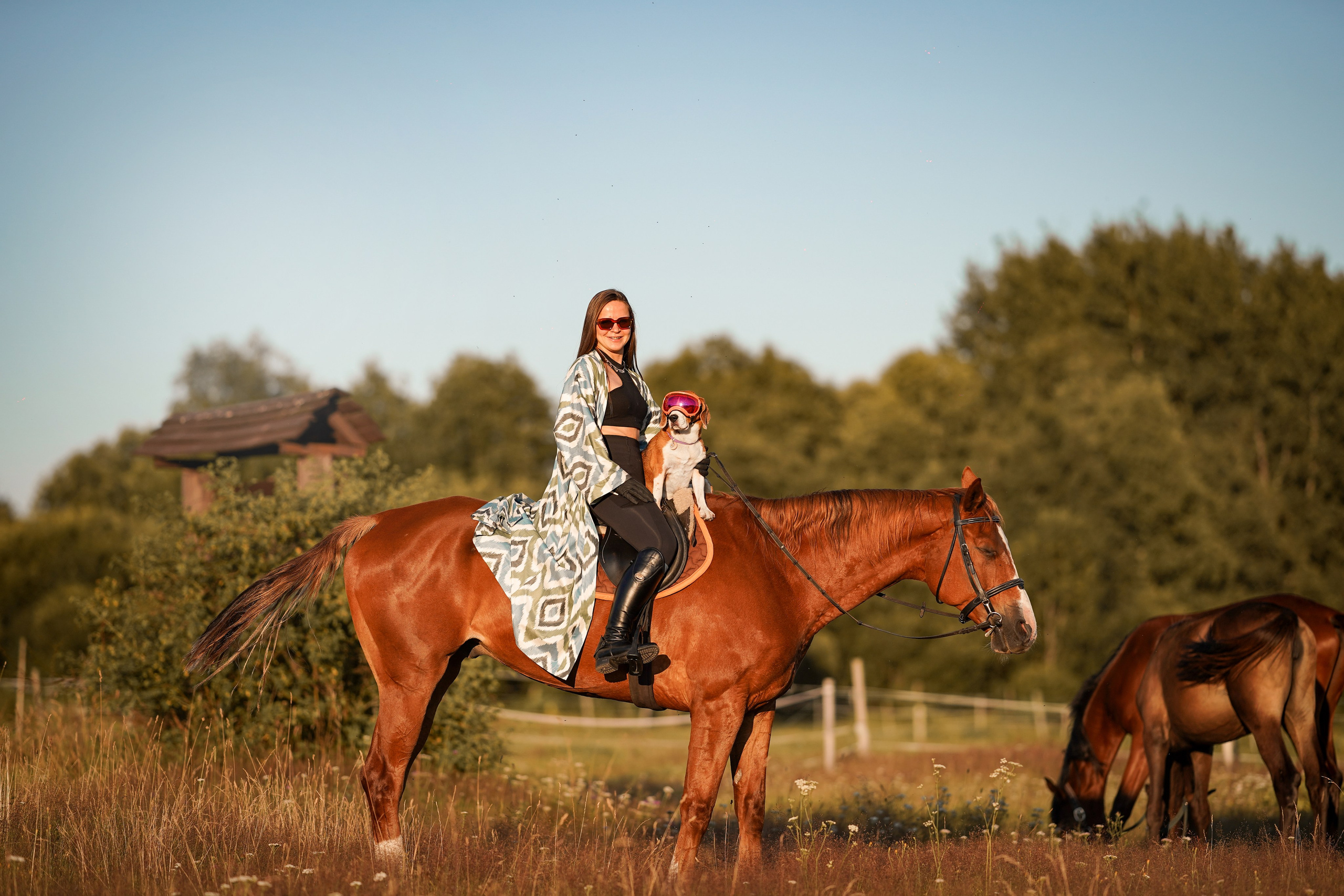 Лера Джон и Диамант. Фотограф-анималист в Санкт-Петербурге Яна Мартынова