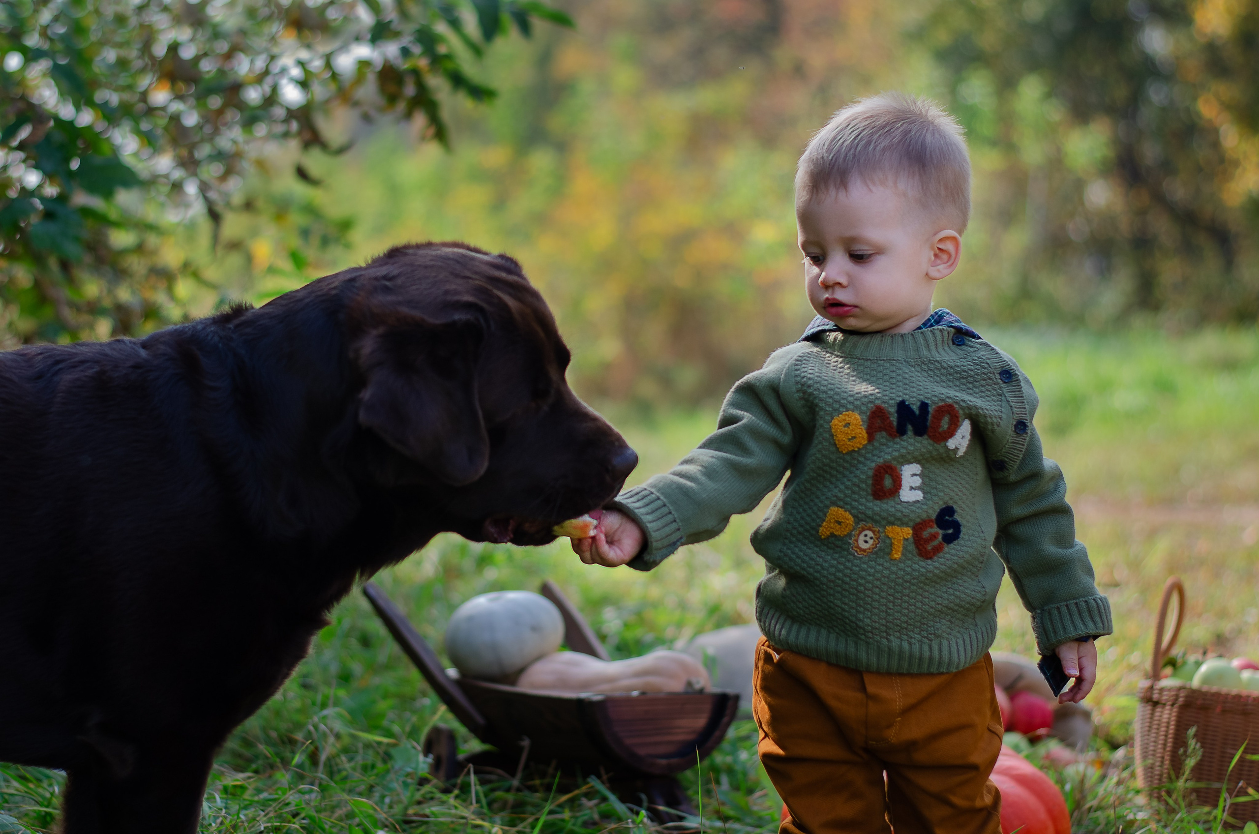 Детская фотосъемка. Детский и семейный фотограф в Москве Светлана Губина