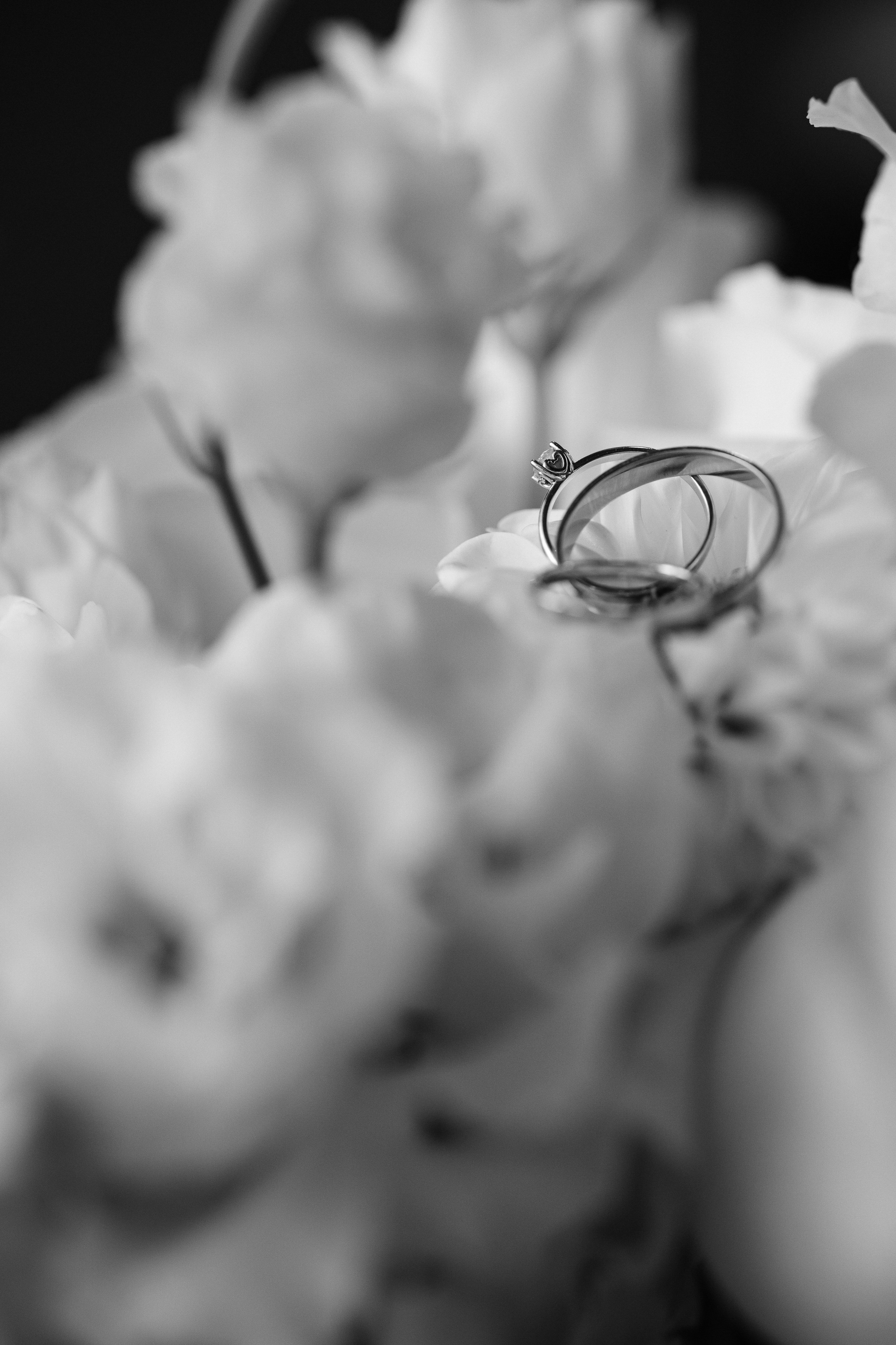 Александр и Анастасия. Wedding and Reportage photographer Marmarov Christya