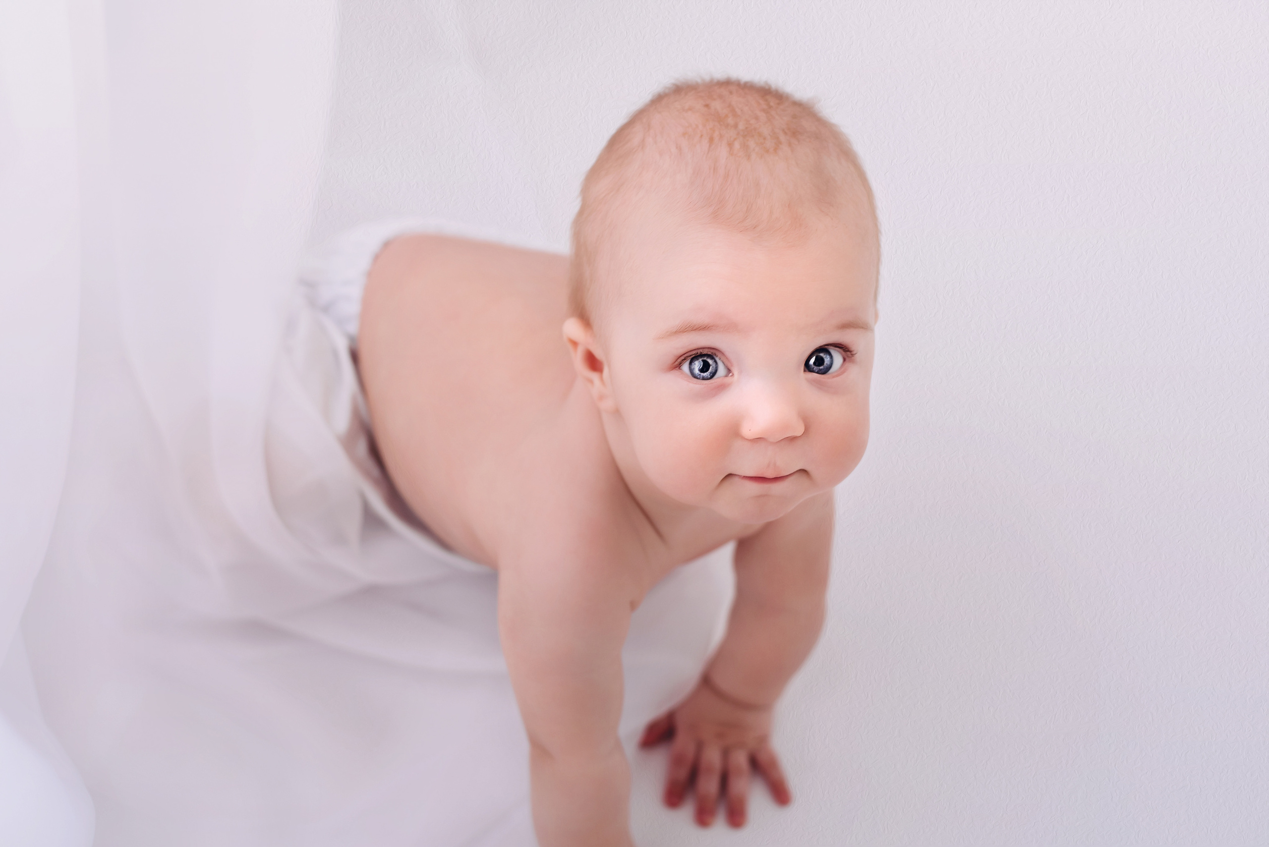 Миша 8 месяцев. Детский фотограф в Долгопрудном и Москве