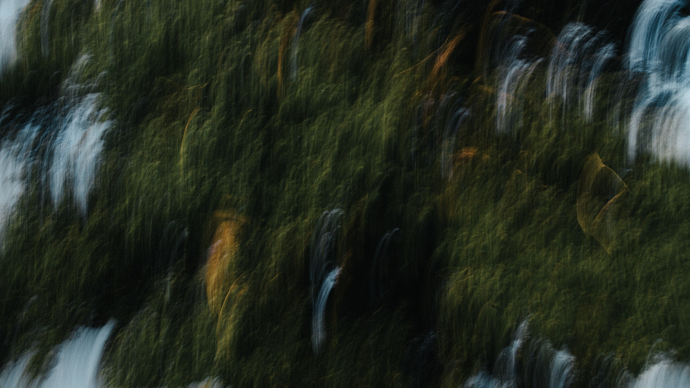 Amira. Портретный и репортажной фотограф Алексей Волков. Москва, Оренбург