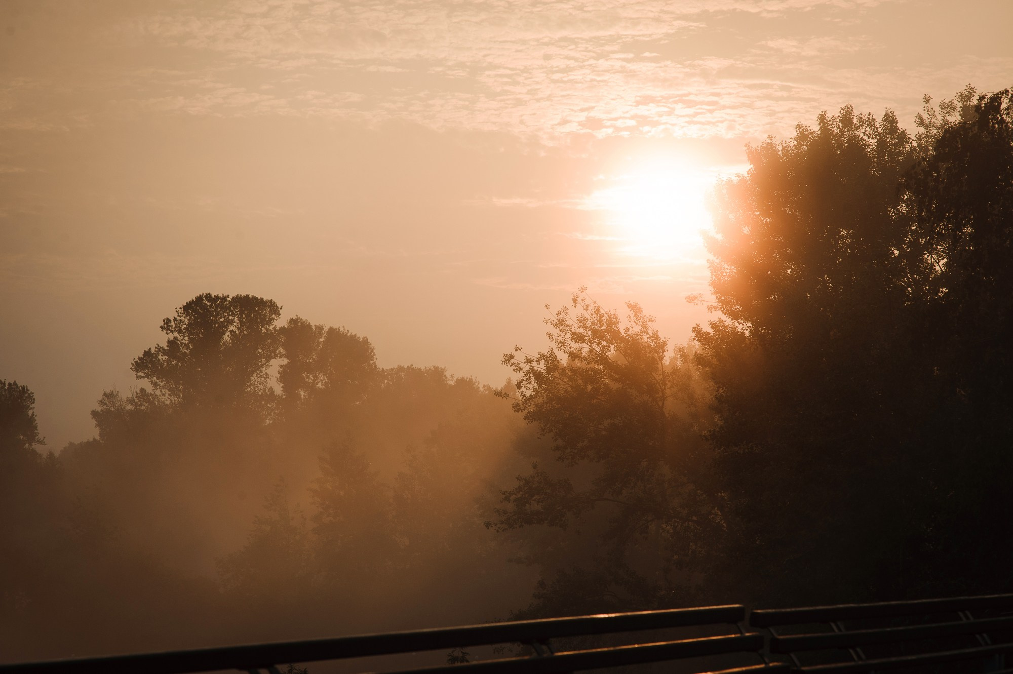 Алена и Любовь. Рассвет на Татышеве. Семейный и женский фотограф Красноярск Екатерина Пусенкова