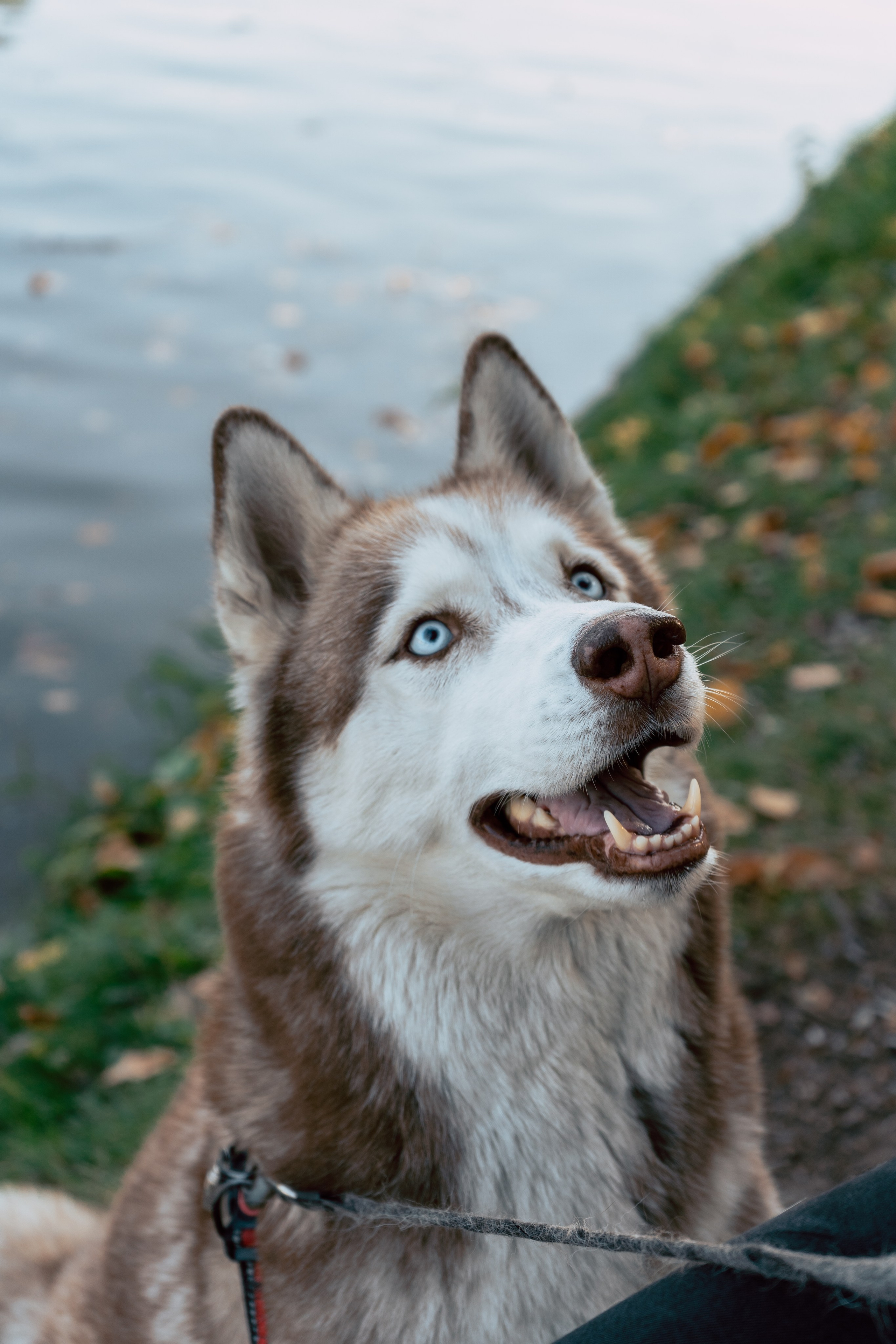 Юрий Землянухин. Портретный фотограф Нижний Новгород