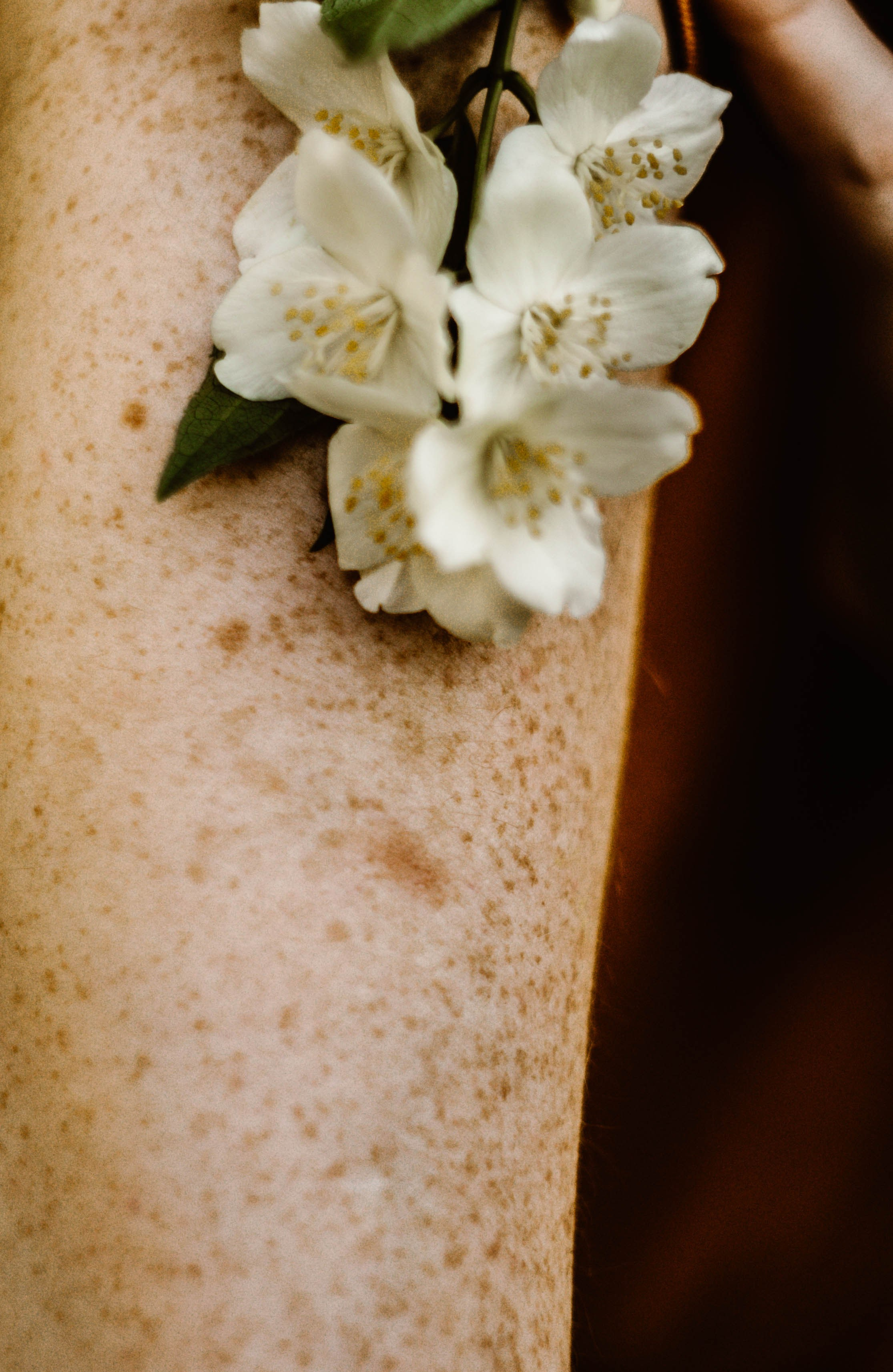 Таня в Жасмине. Фотограф в Нижнем Новгороде