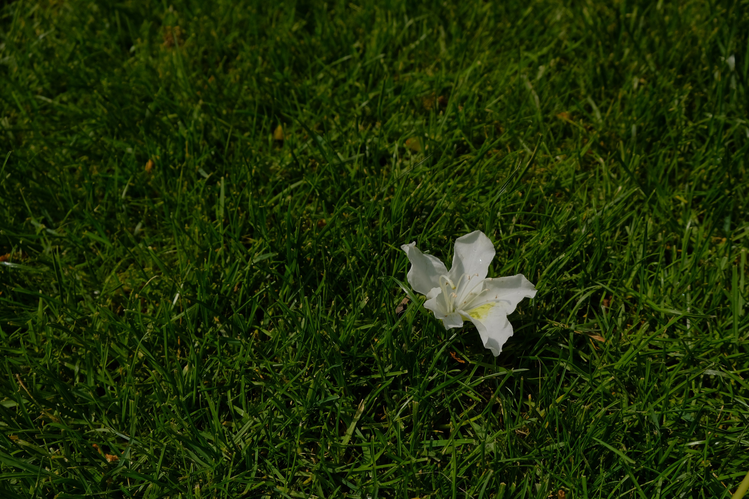 Юля. Женский и семейный фотограф в Краснодаре и крае Таня Мустафина