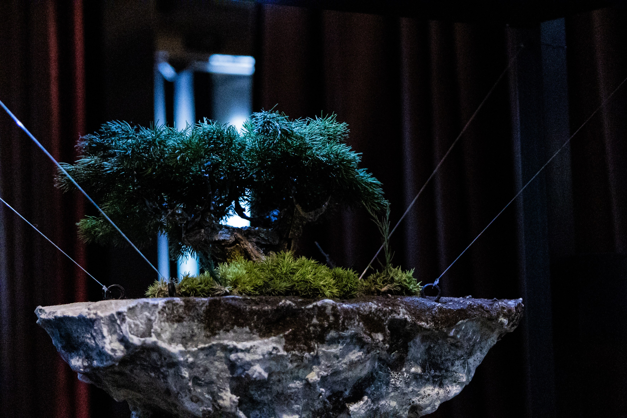 Детали. Свадебный Фотограф в Иркутске Екатерина Елисеева