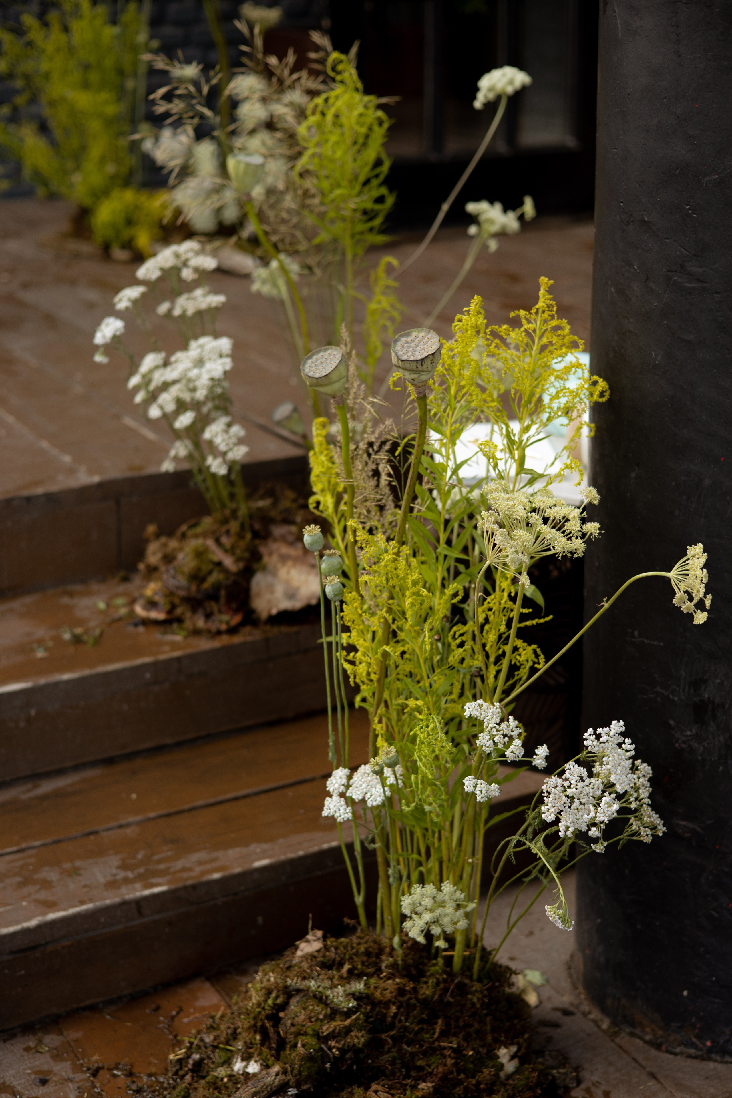 Никита & Катя. Оформление свадеб, декор свадеб Вера Маркова, Москва