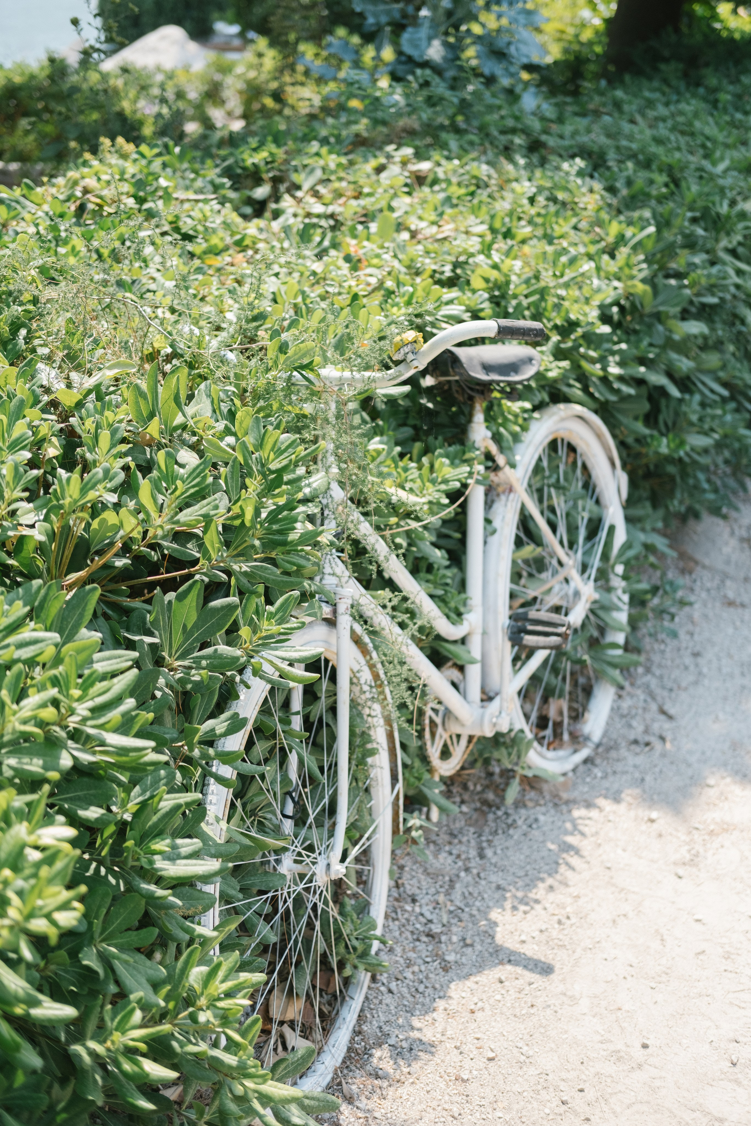 Ника — Tivat Montenegro. Свадебный Видеограф Фотограф в Сочи