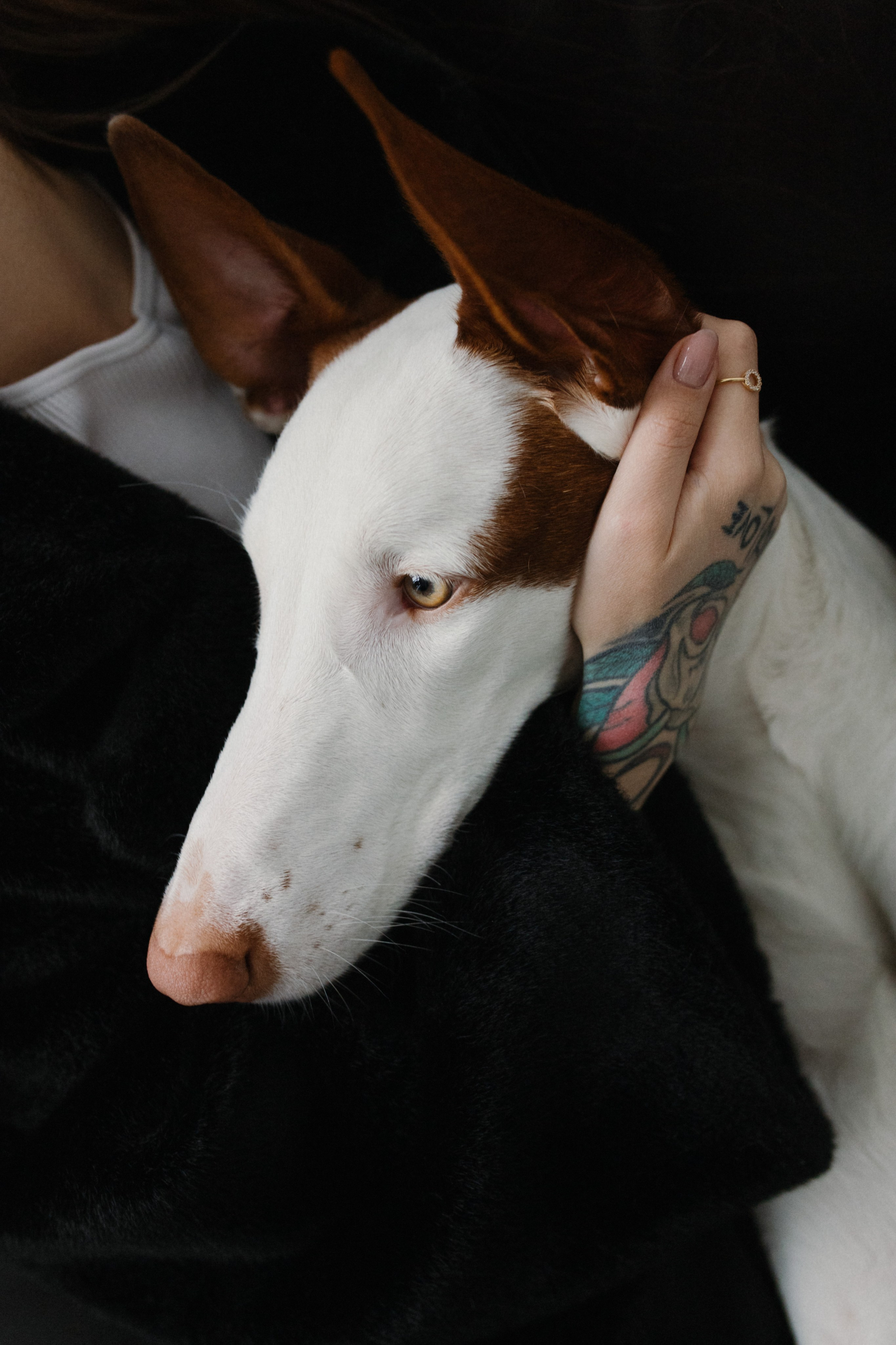 Lera Vaytova. Фотограф Москва Дмитрий Курасов