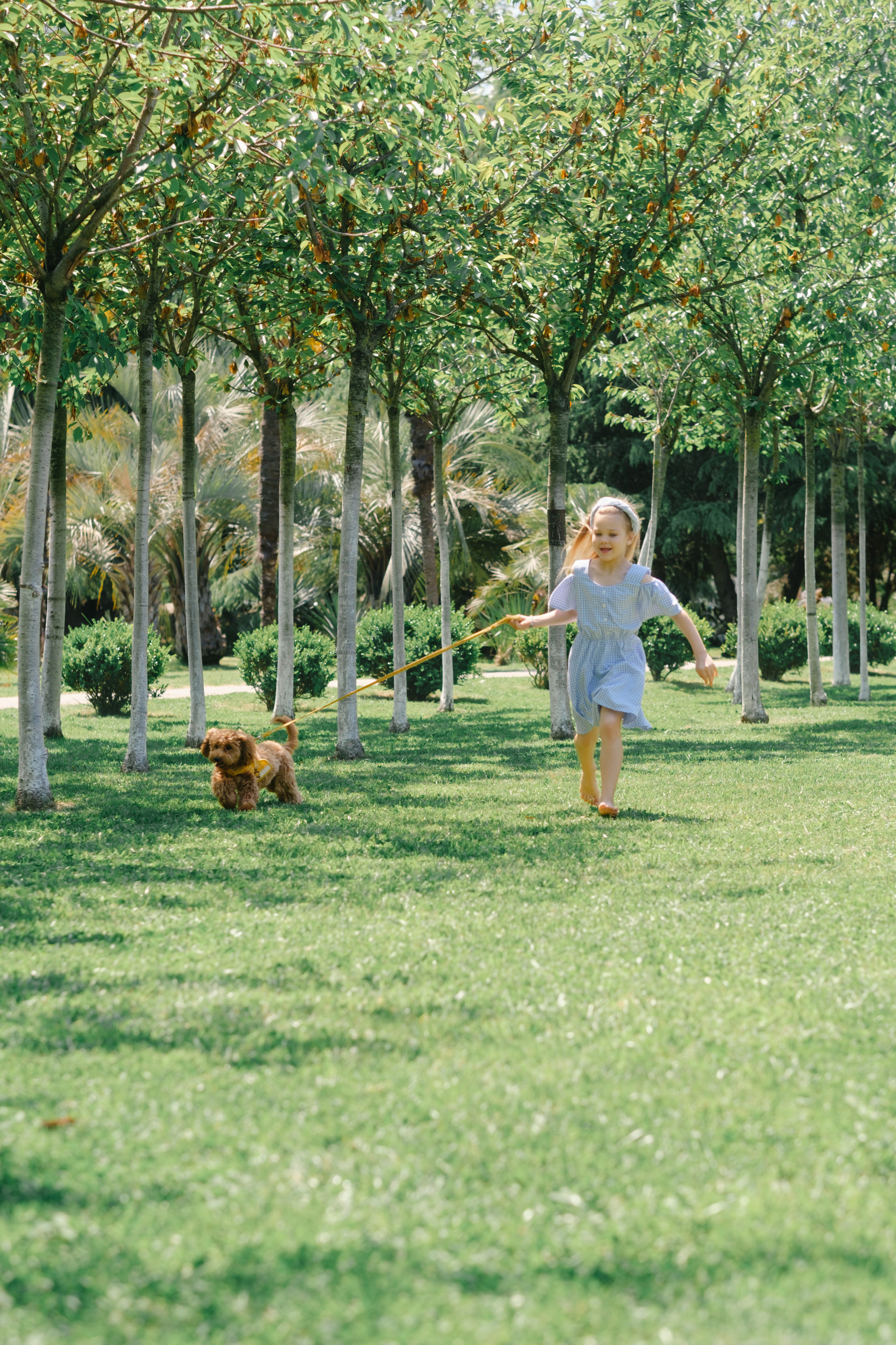 Family. Видеограф Фотограф в Сочи