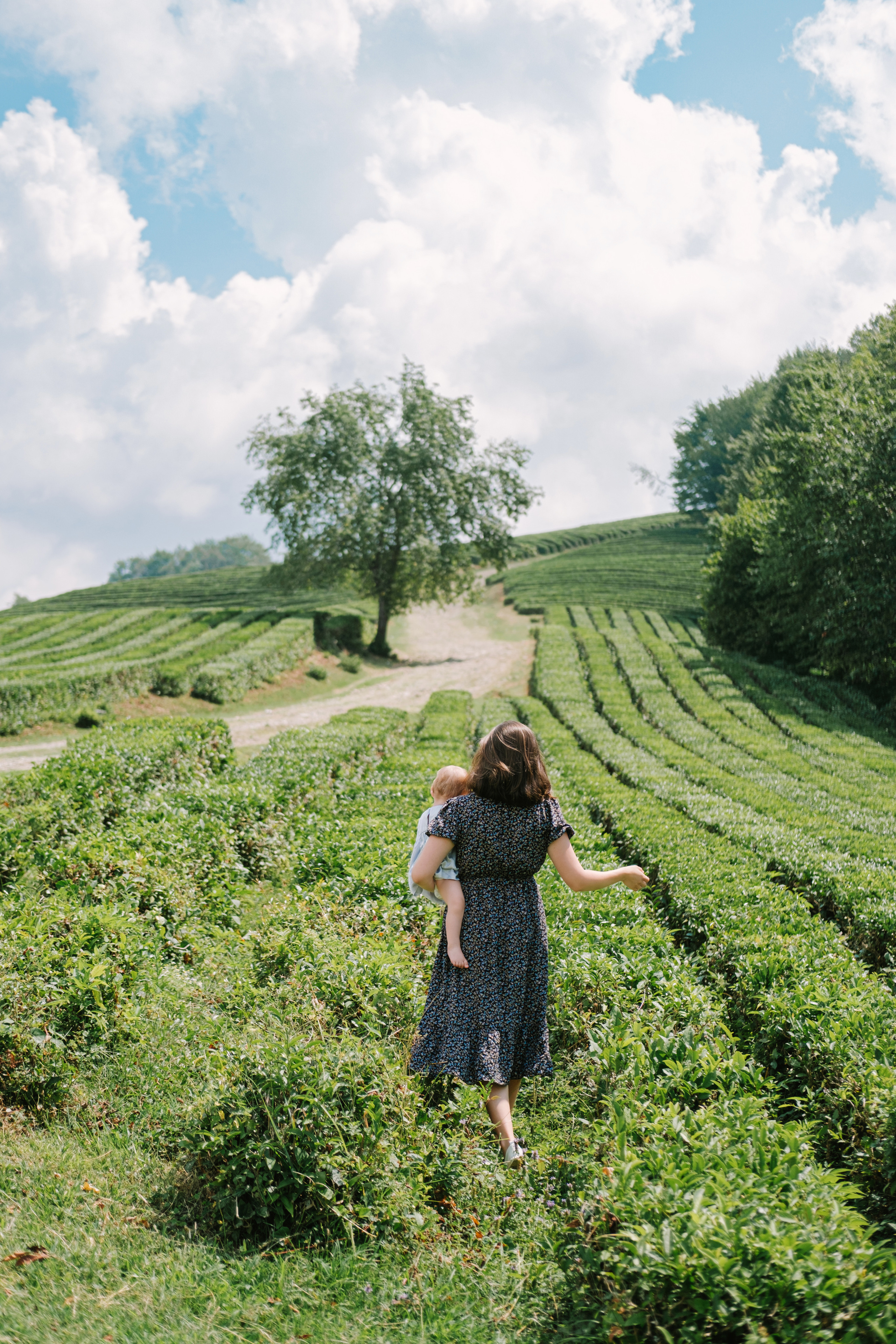 Family. Видеограф Фотограф в Сочи