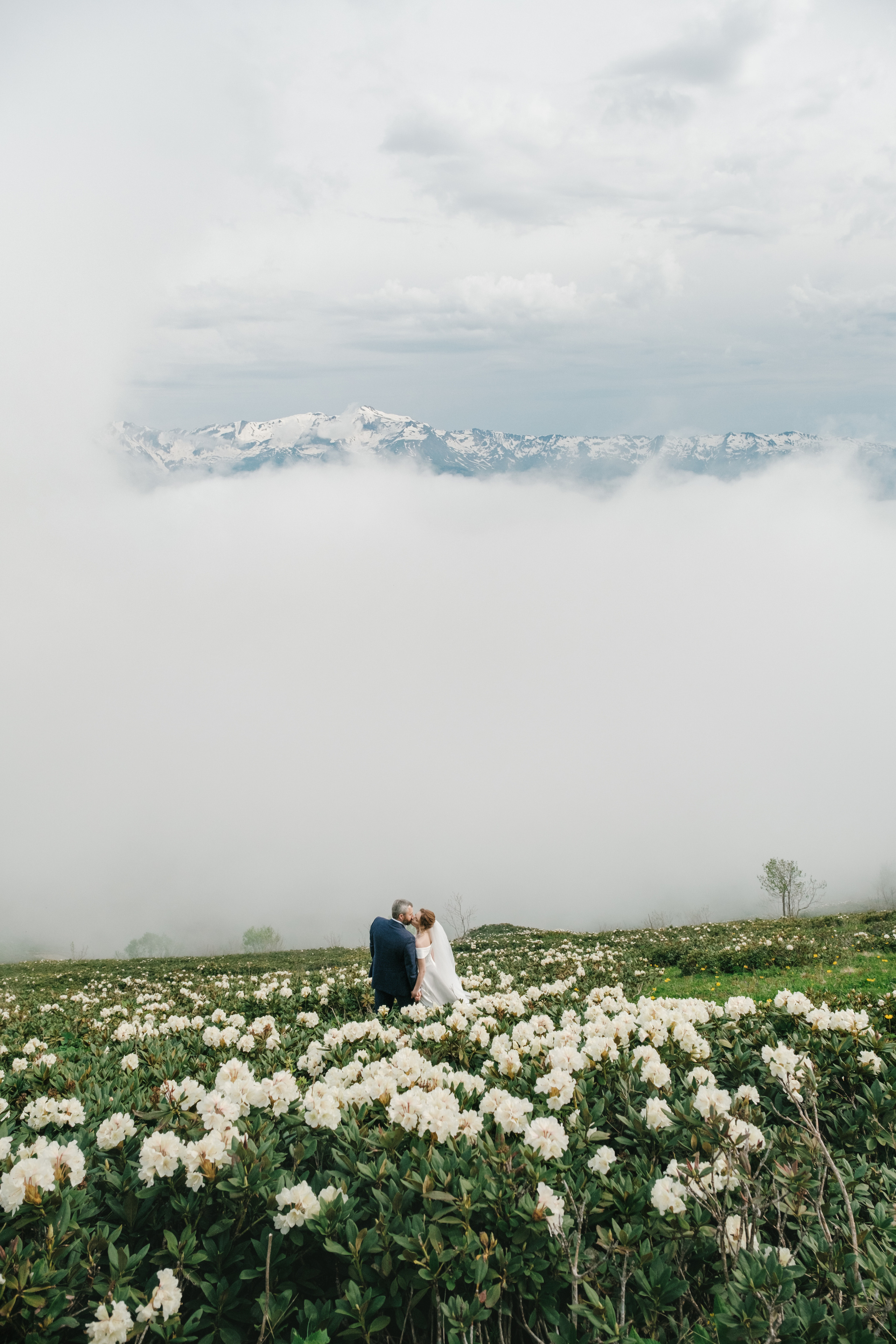 Wedding. Видеограф Фотограф в Сочи